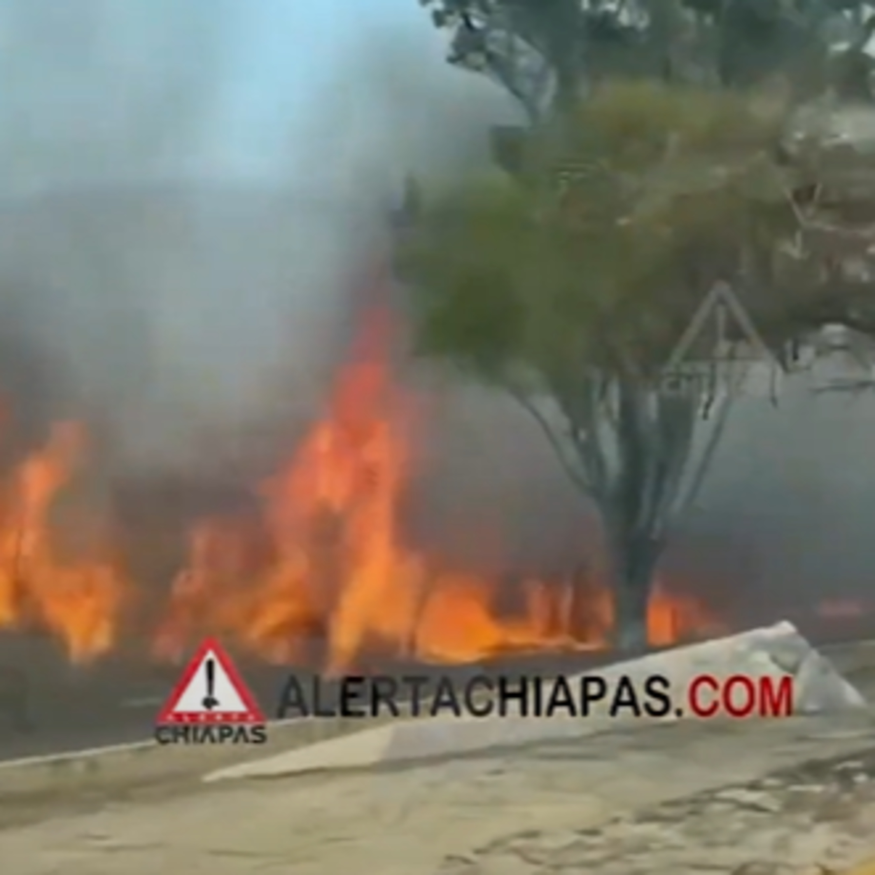 Incendios de pastizales en Tuxtla Gutiérrez: irresponsabilidad humana episode artwork
