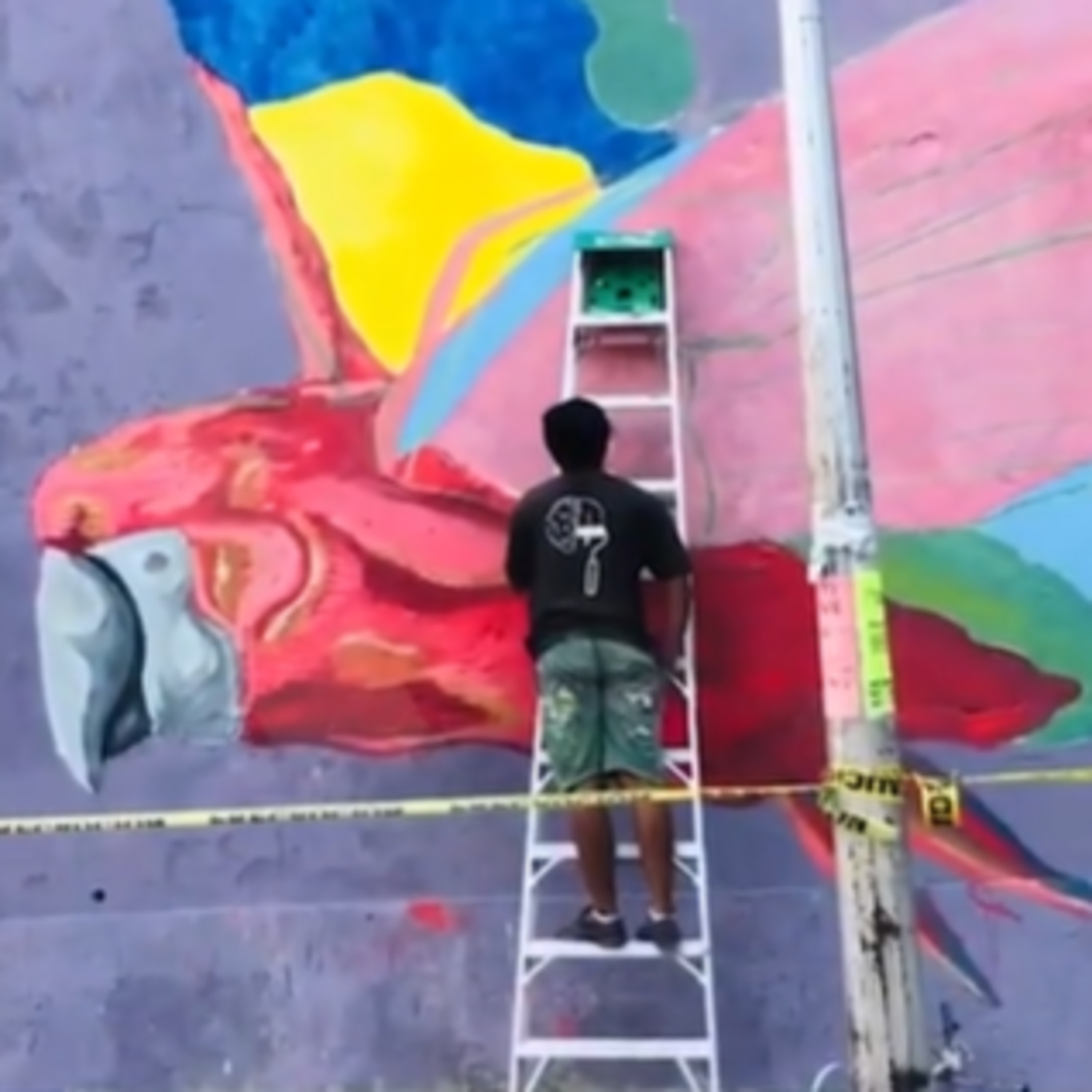 Elizabeth Bess: Transforma el paisaje urbano de Tuxtla Gutiérrez episode artwork