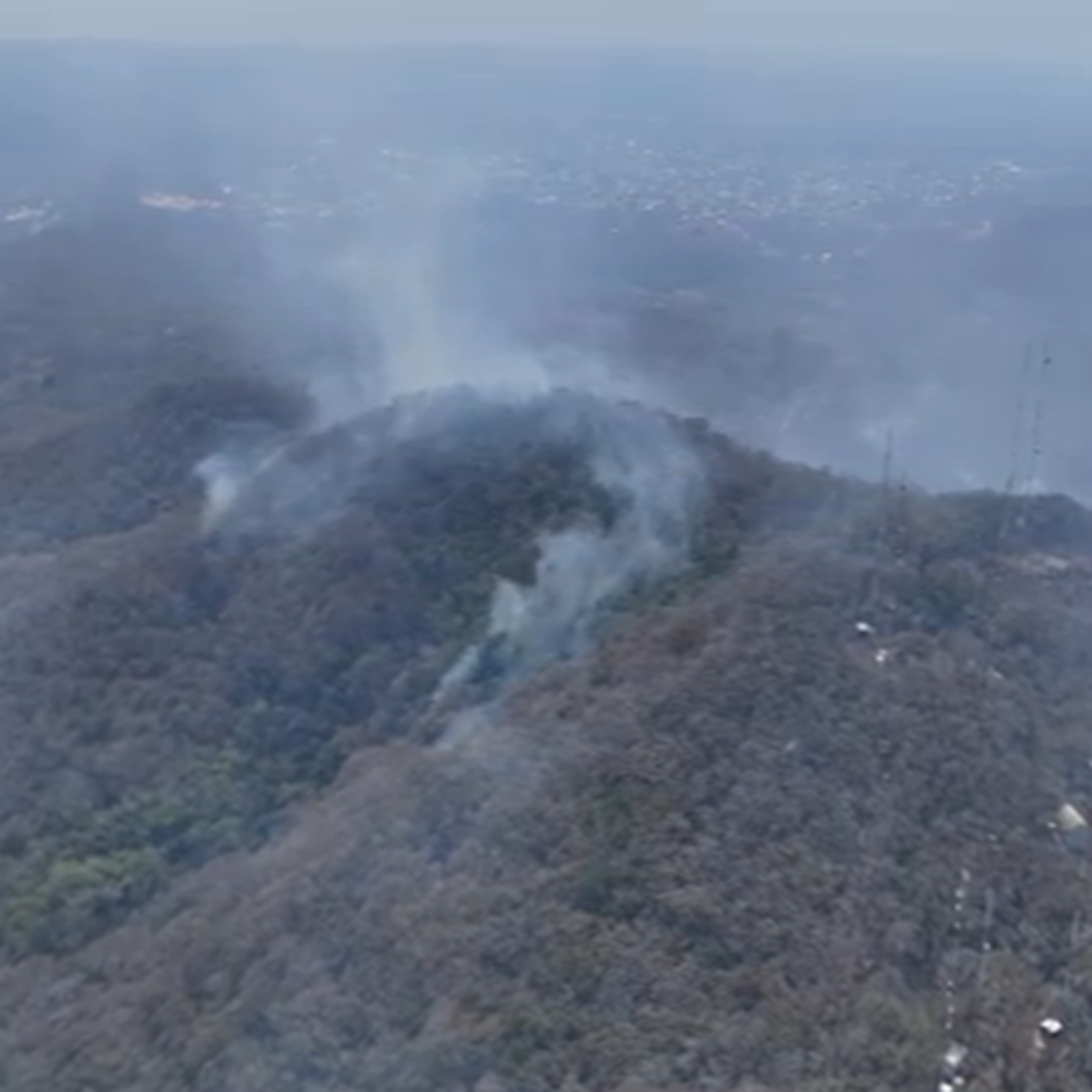 Un pulmón de Tuxtla se está extinguiendo episode artwork