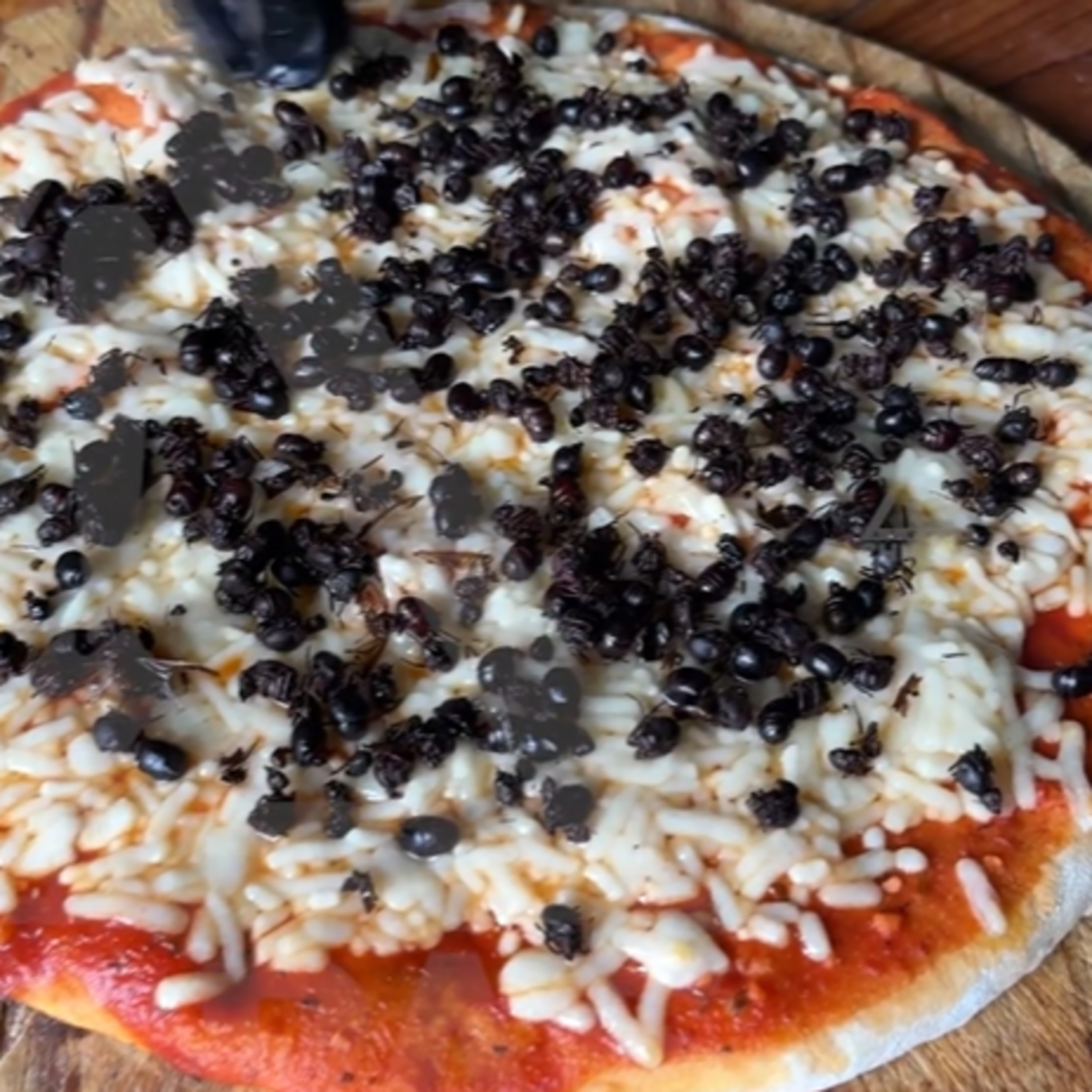 Un verdadero manjar, la pizza de nucú episode artwork