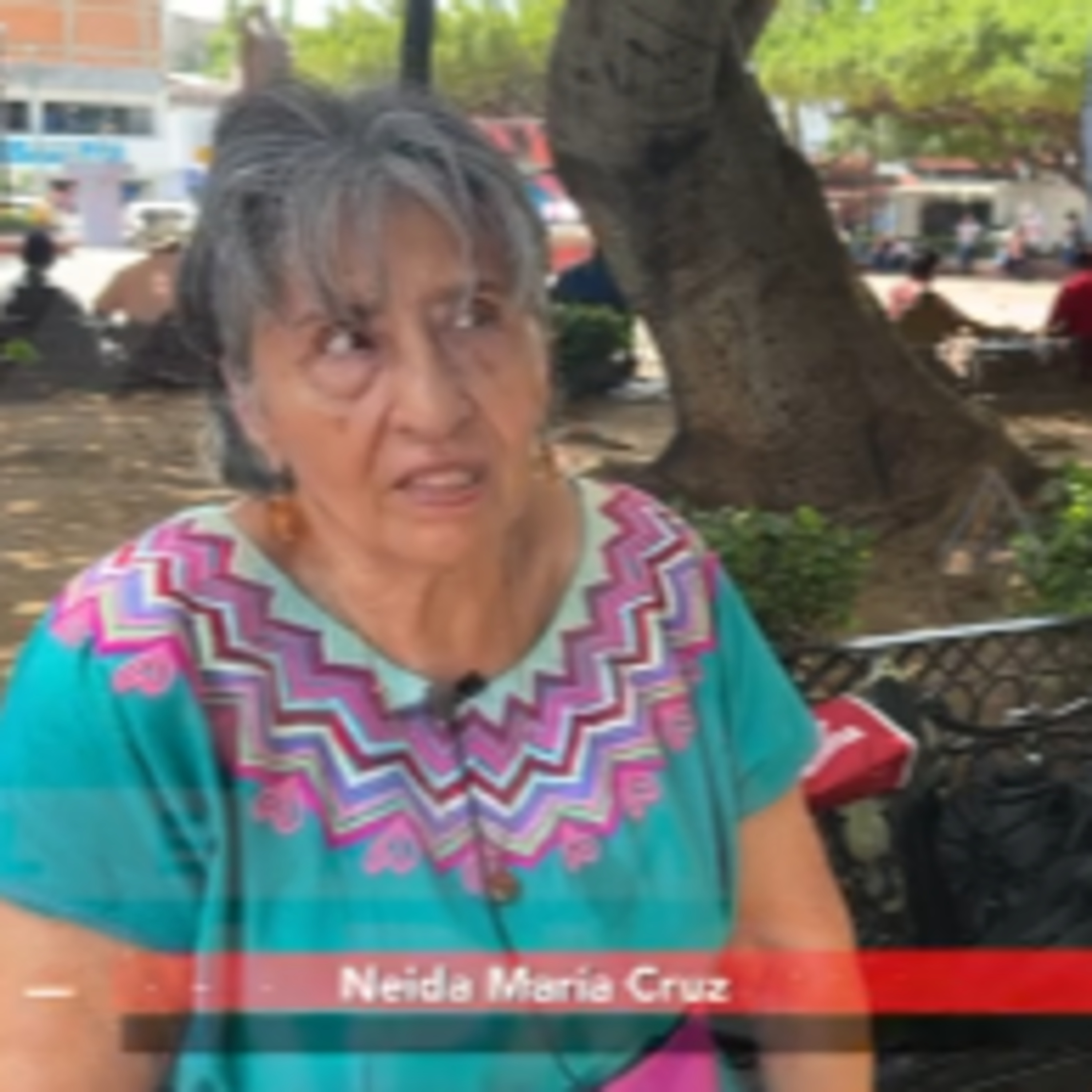 En casa te entumes”; ella tiene 69 años y sigue activa en el bordado episode artwork