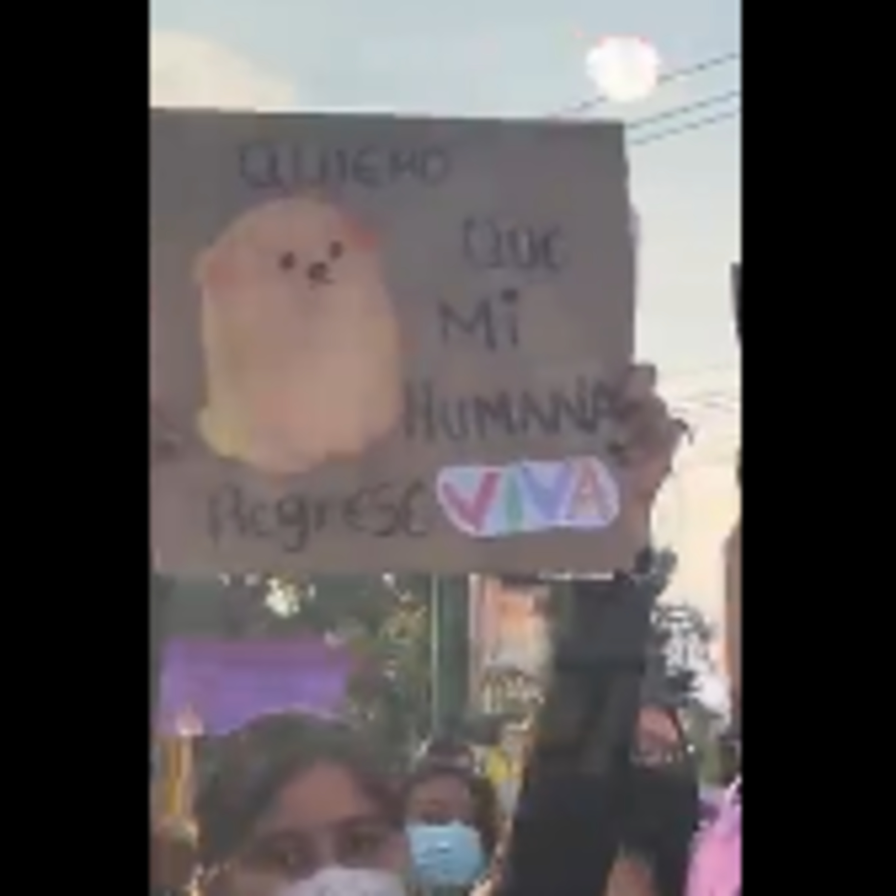 Violencia de género en México: La impunidad y desconfianza detienen las denuncias 🚨 episode artwork