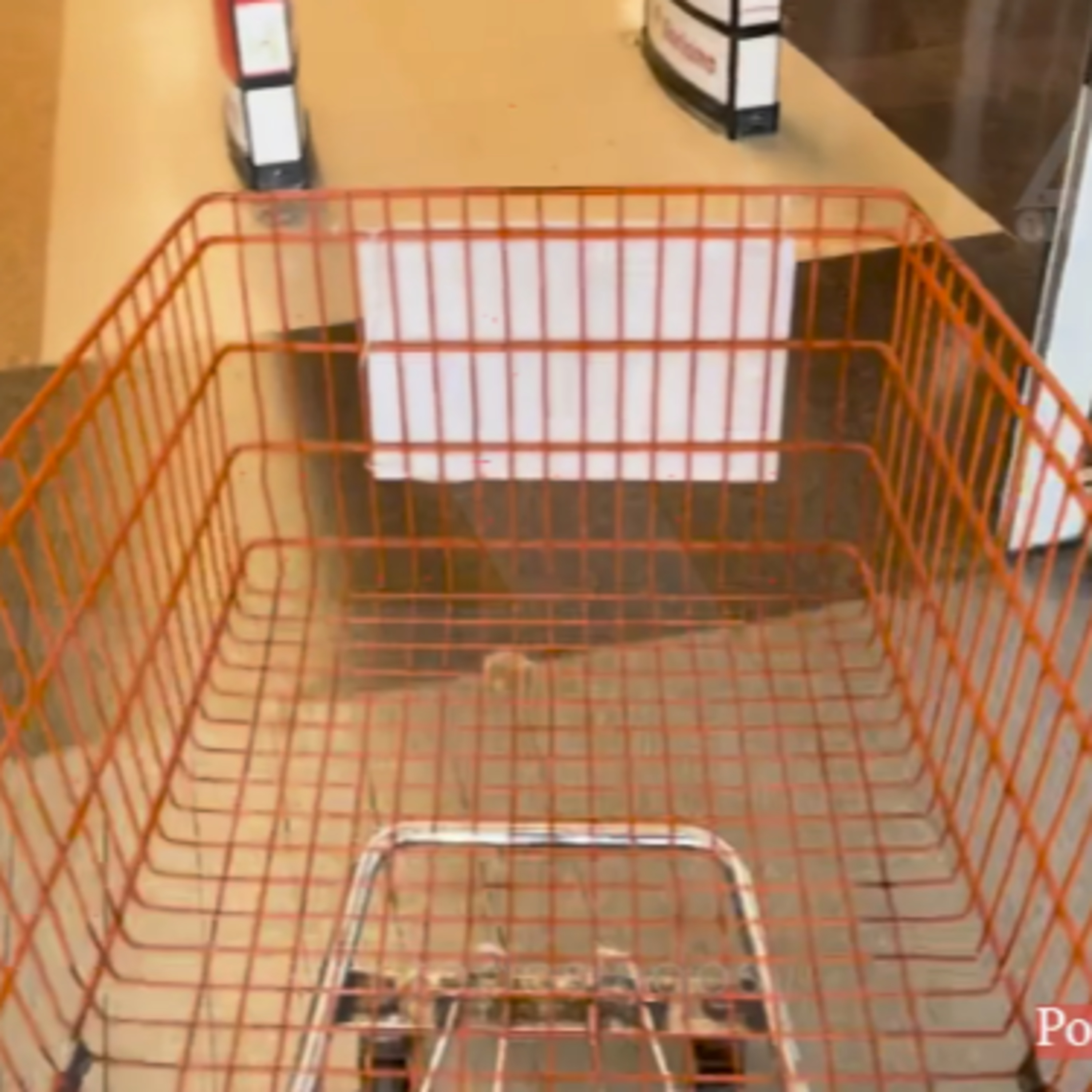 Buen Fin: Aumentan estafas en compras en línea, ¡cuidado con las promociones falsas! episode artwork