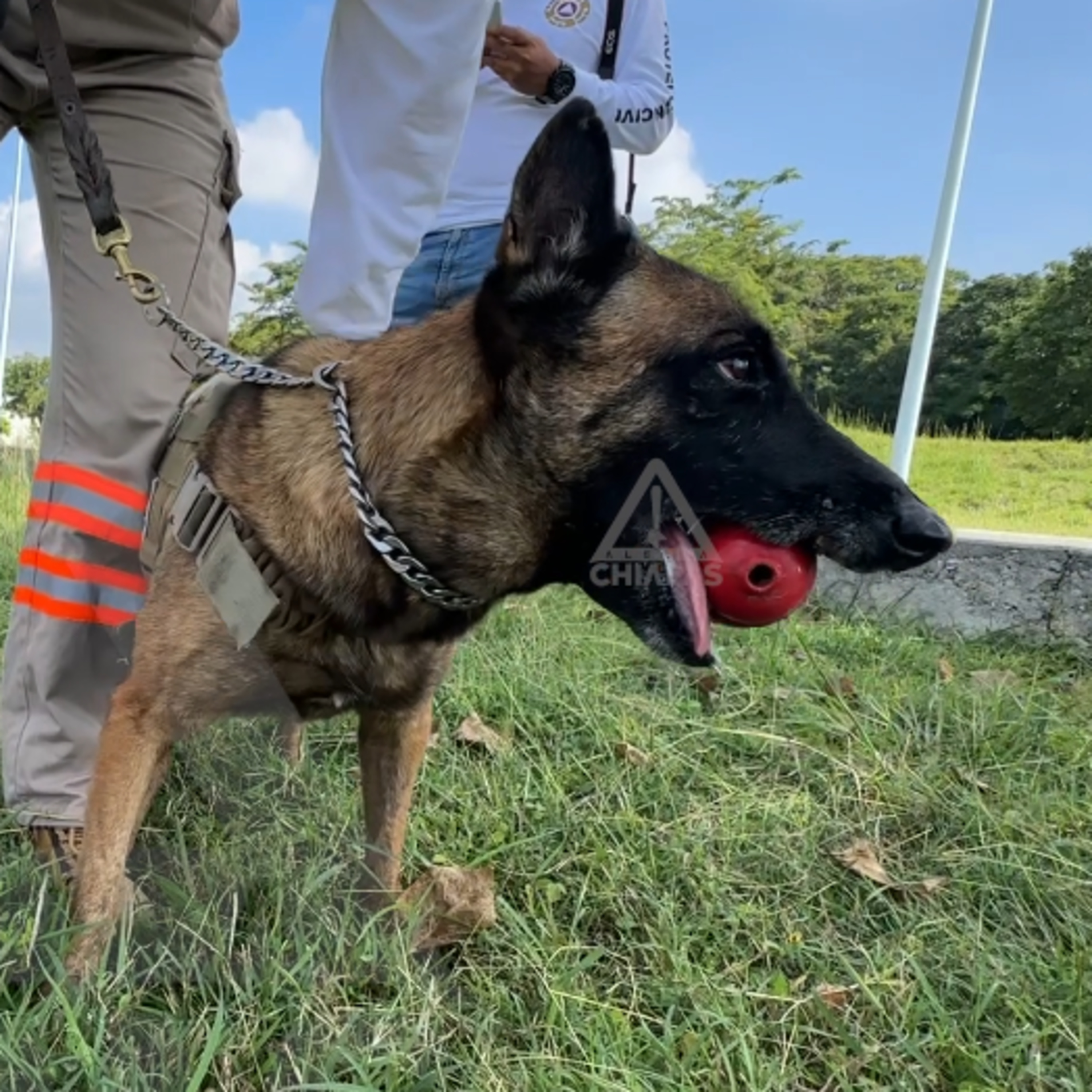 Alerta Chiapas