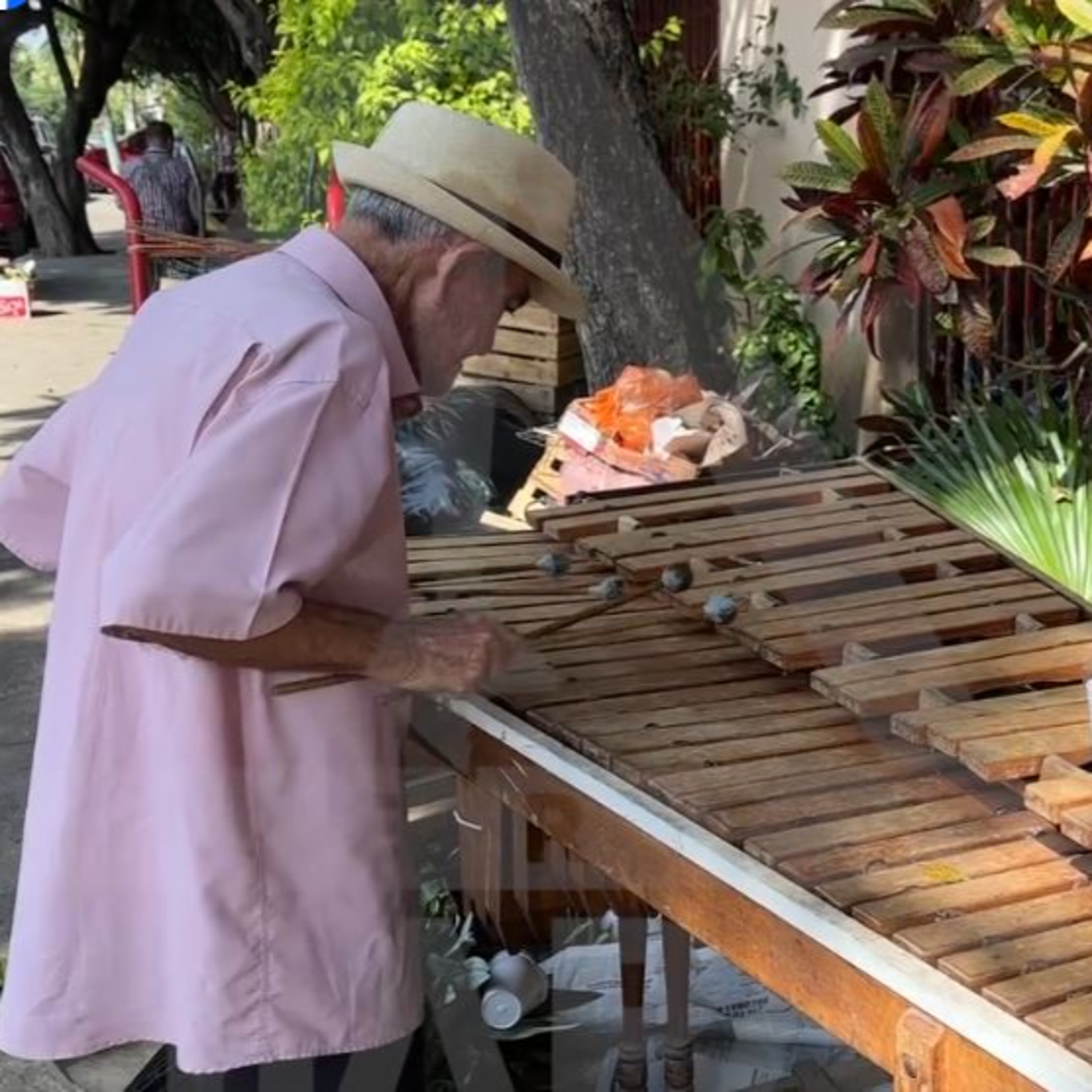 Tiene 79 años y sigue alegrando las calles de Tuxtla con la marimba🎶. episode artwork