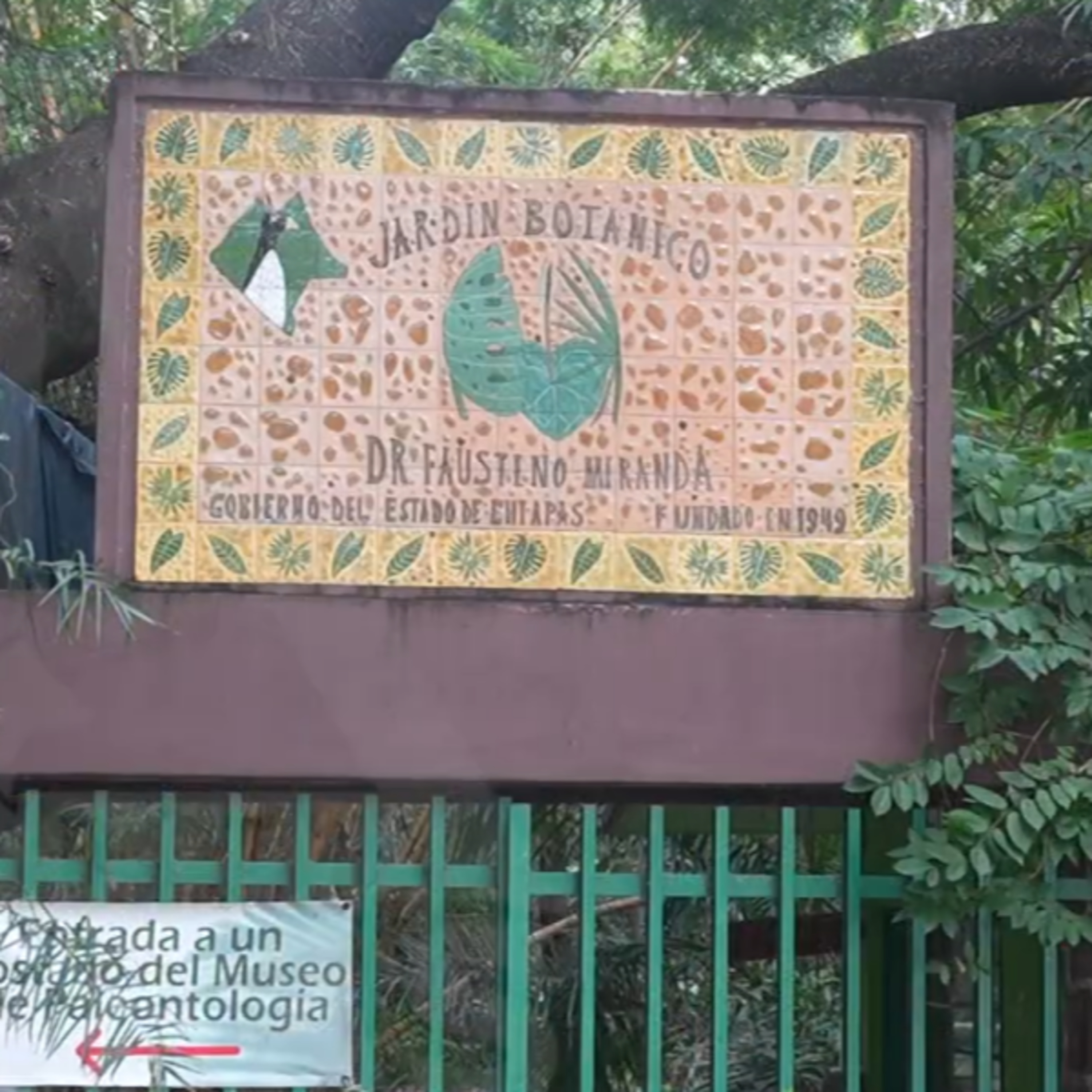 Triste aniversario del Jardín Botánico episode artwork