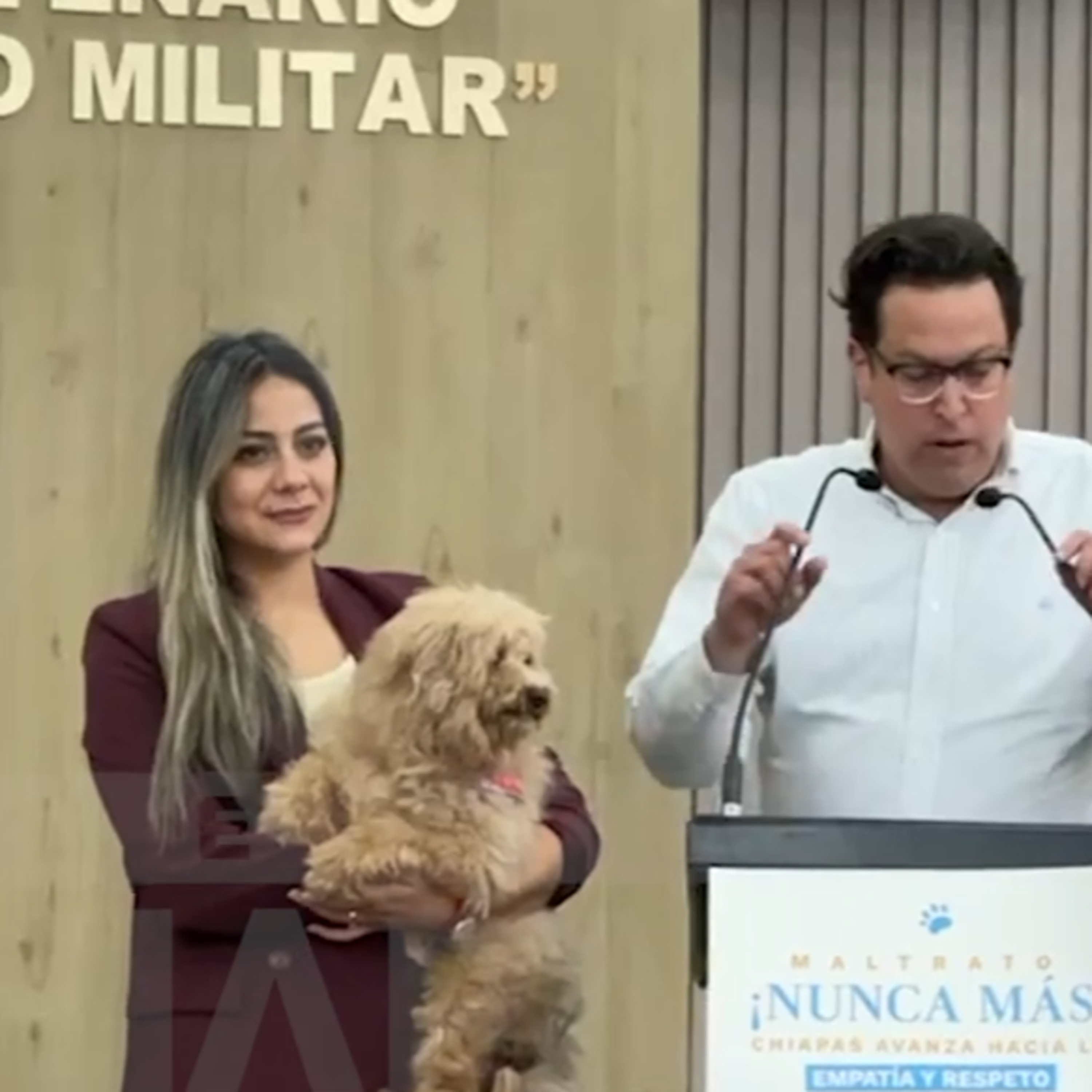 Congreso aprueba reformas para la protección animal 🐶 episode artwork