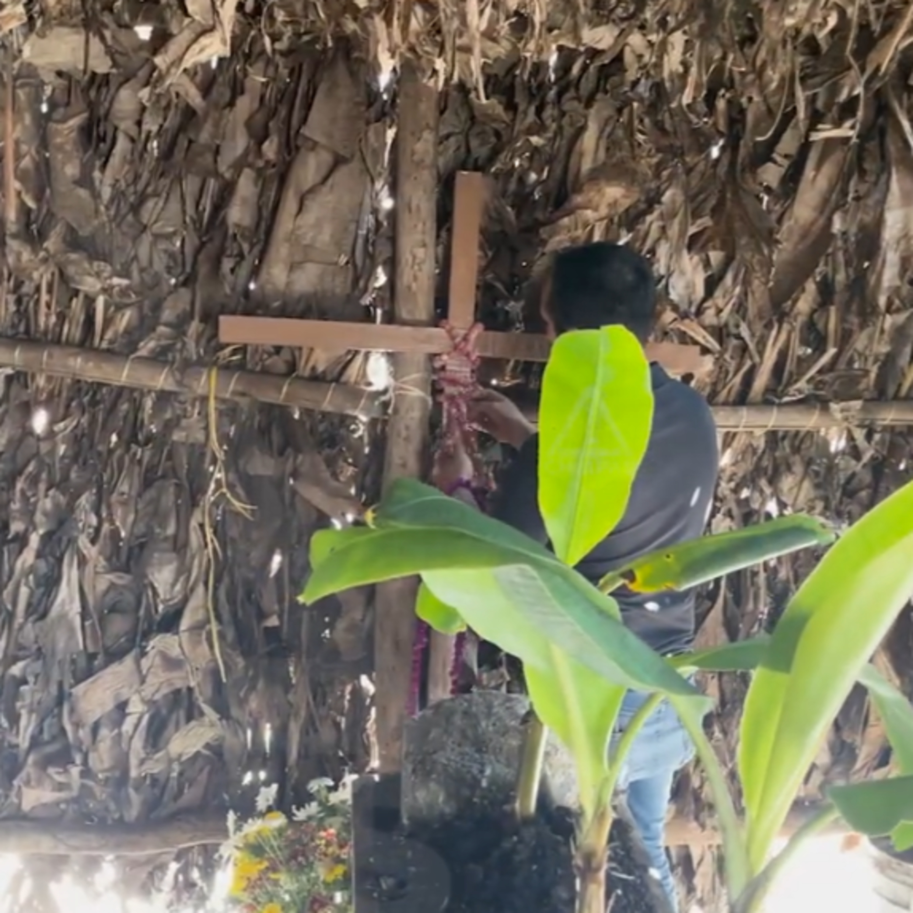 🌾 Ritual de la siembra: tradición zoque en Tuxtla Gutiérrez episode artwork