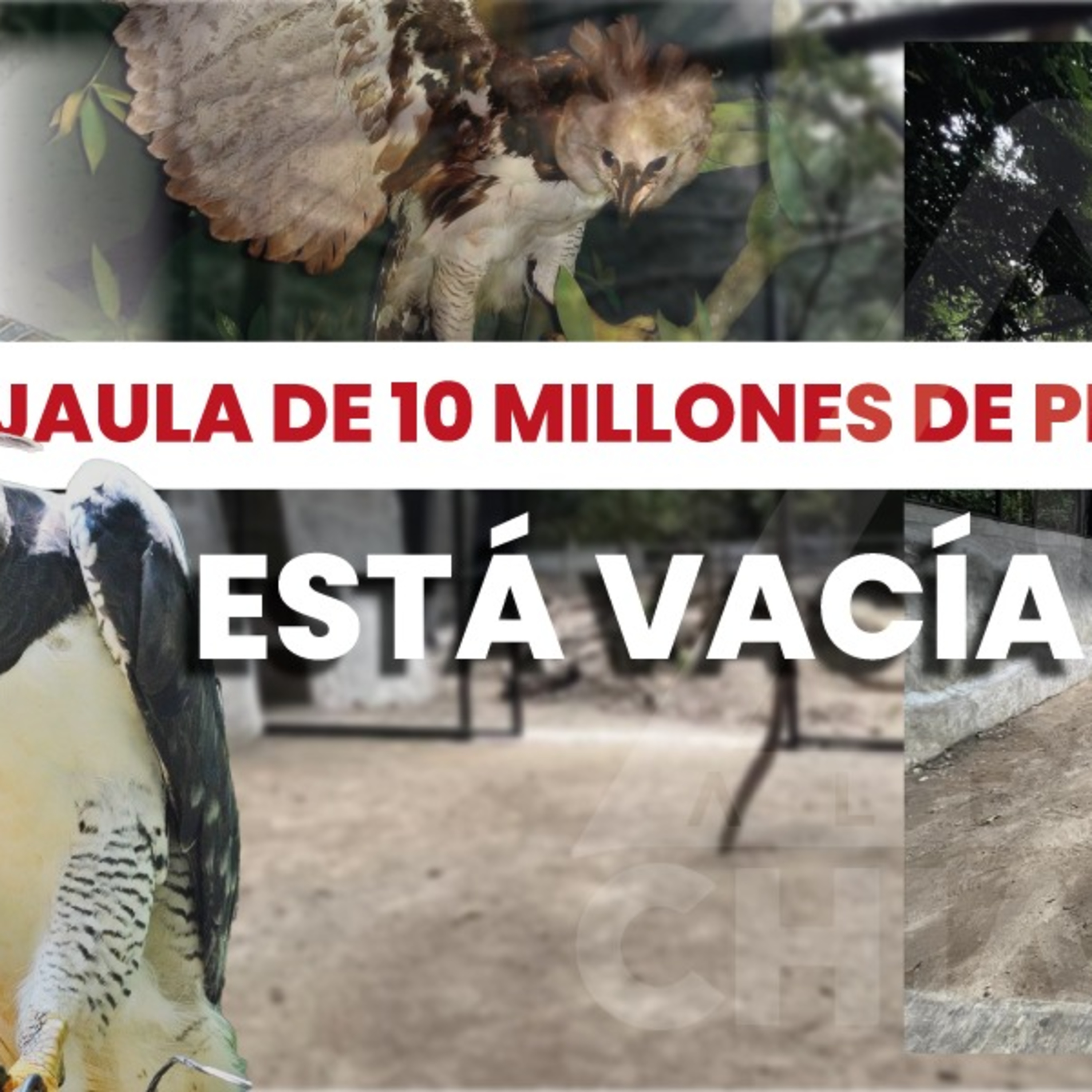Alerta Chiapas