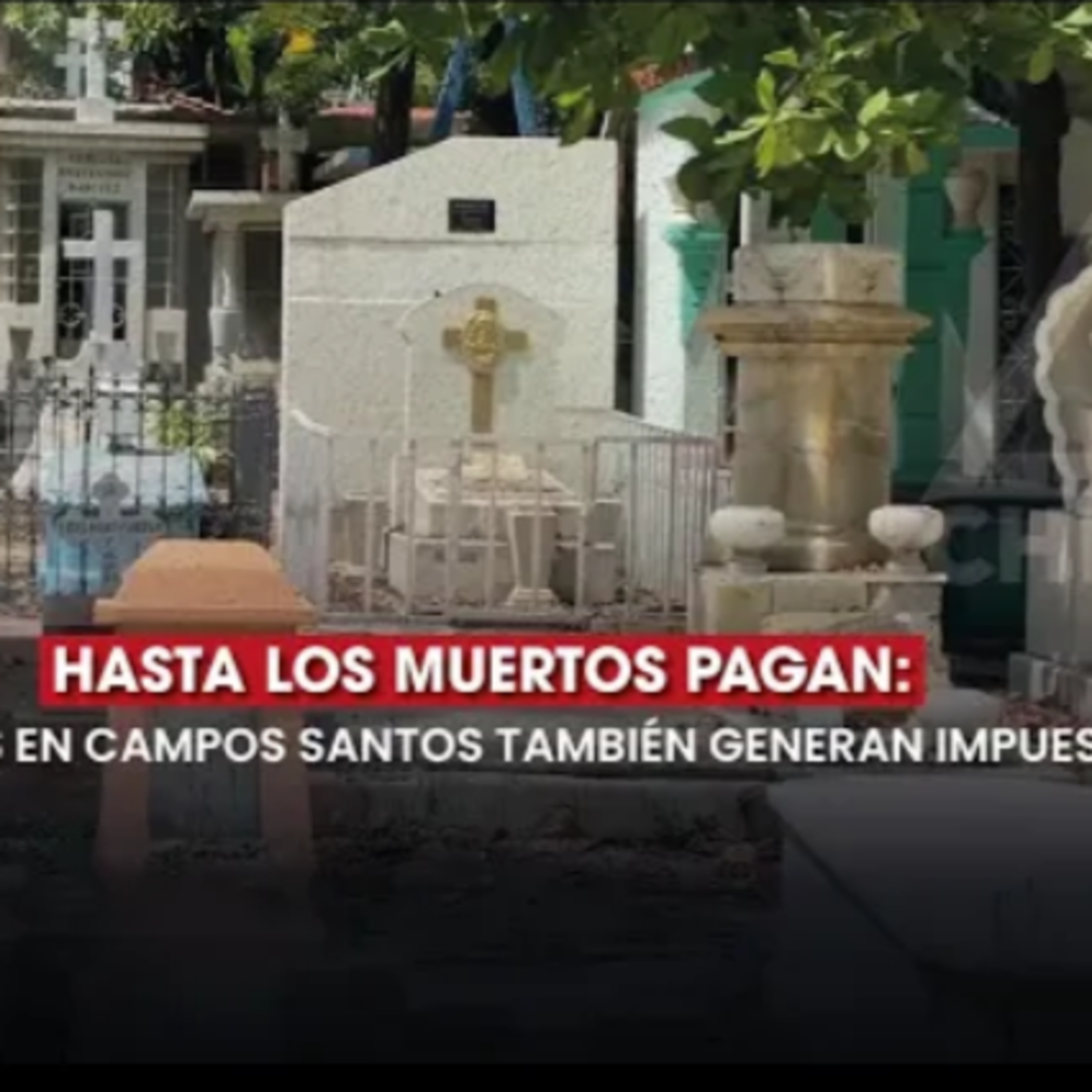 ¿Sabías que tu tumba también paga impuestos?  episode artwork