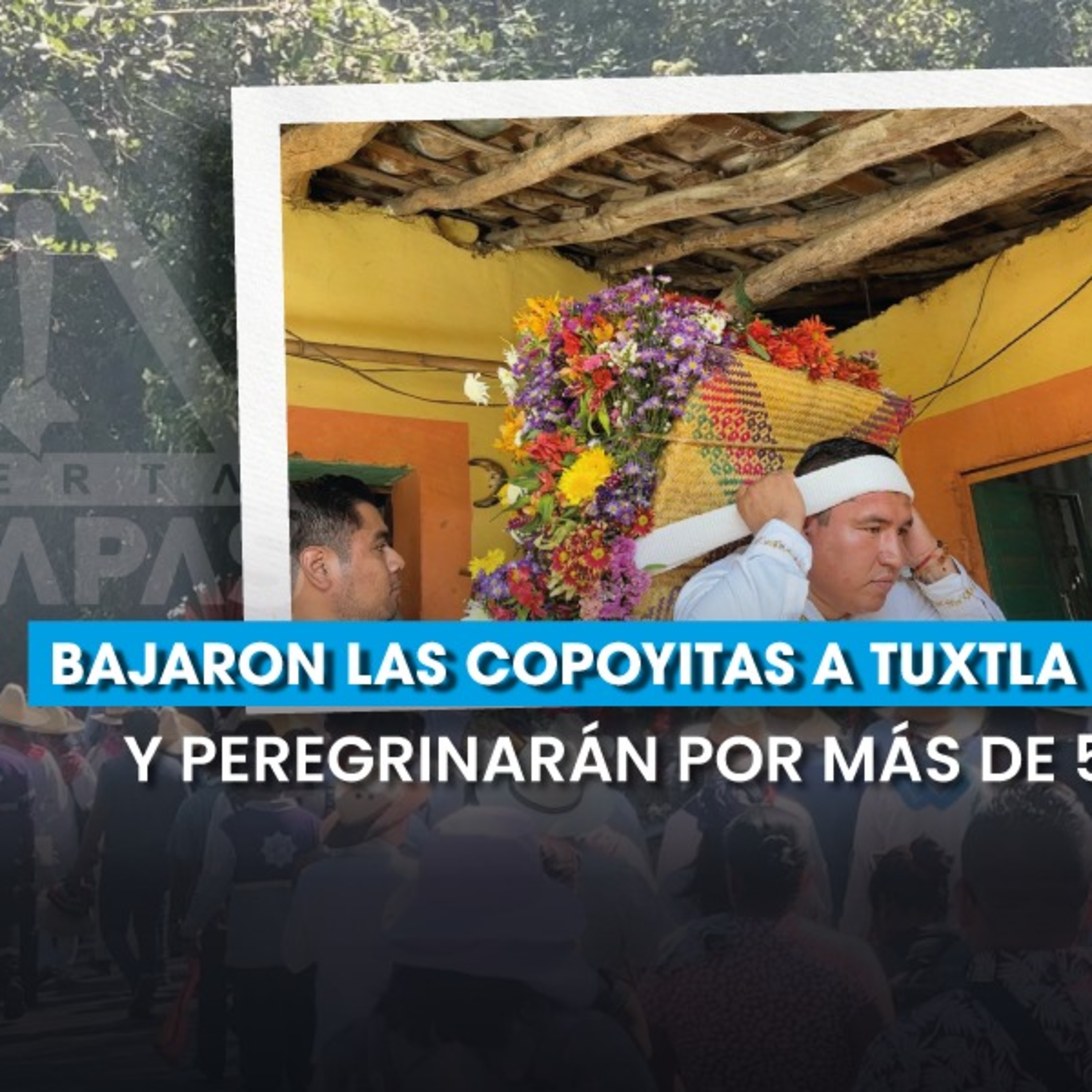 ✨ Bajaron las Copoyitas a Tuxtla: Más de 50 días de peregrinación episode artwork