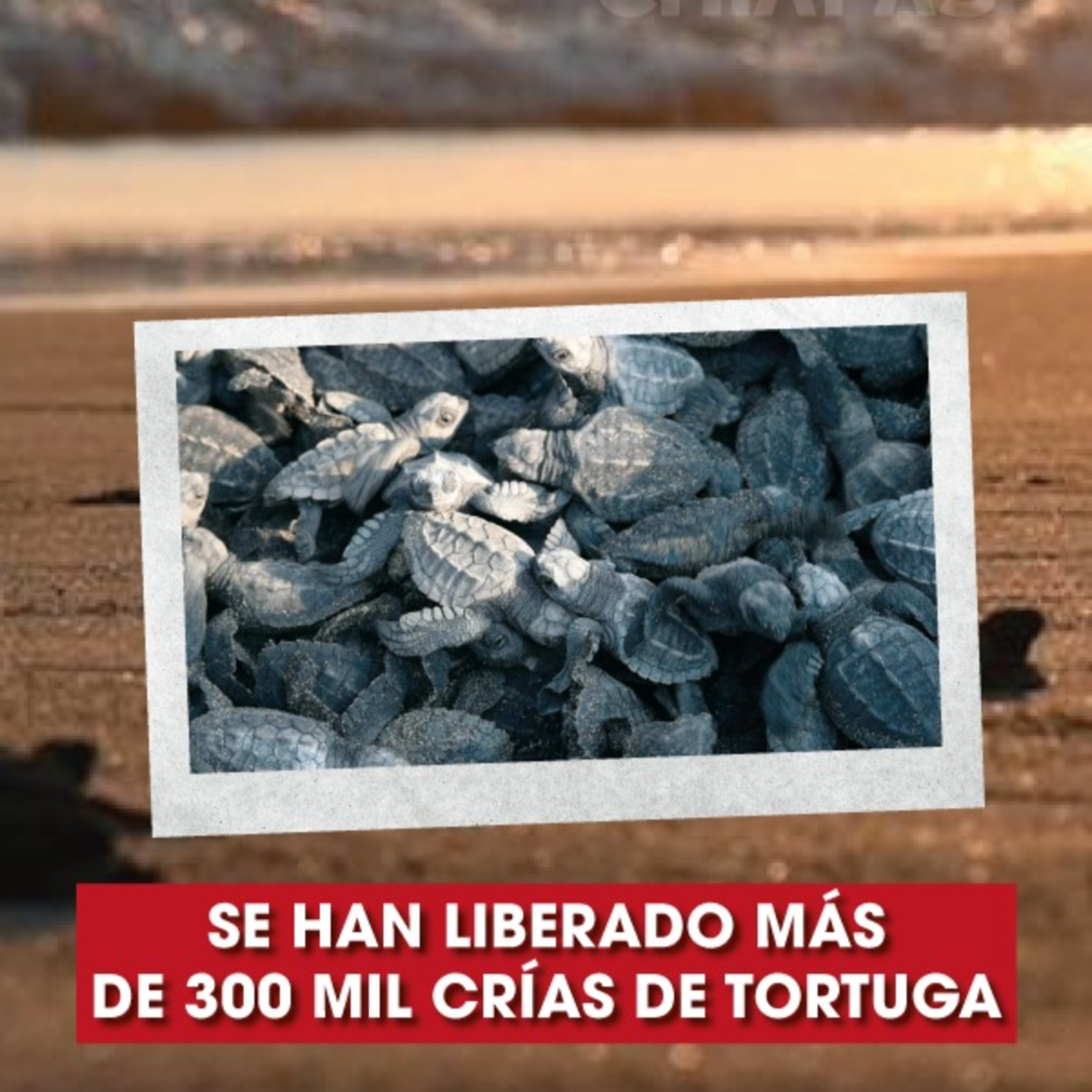 Alerta Chiapas