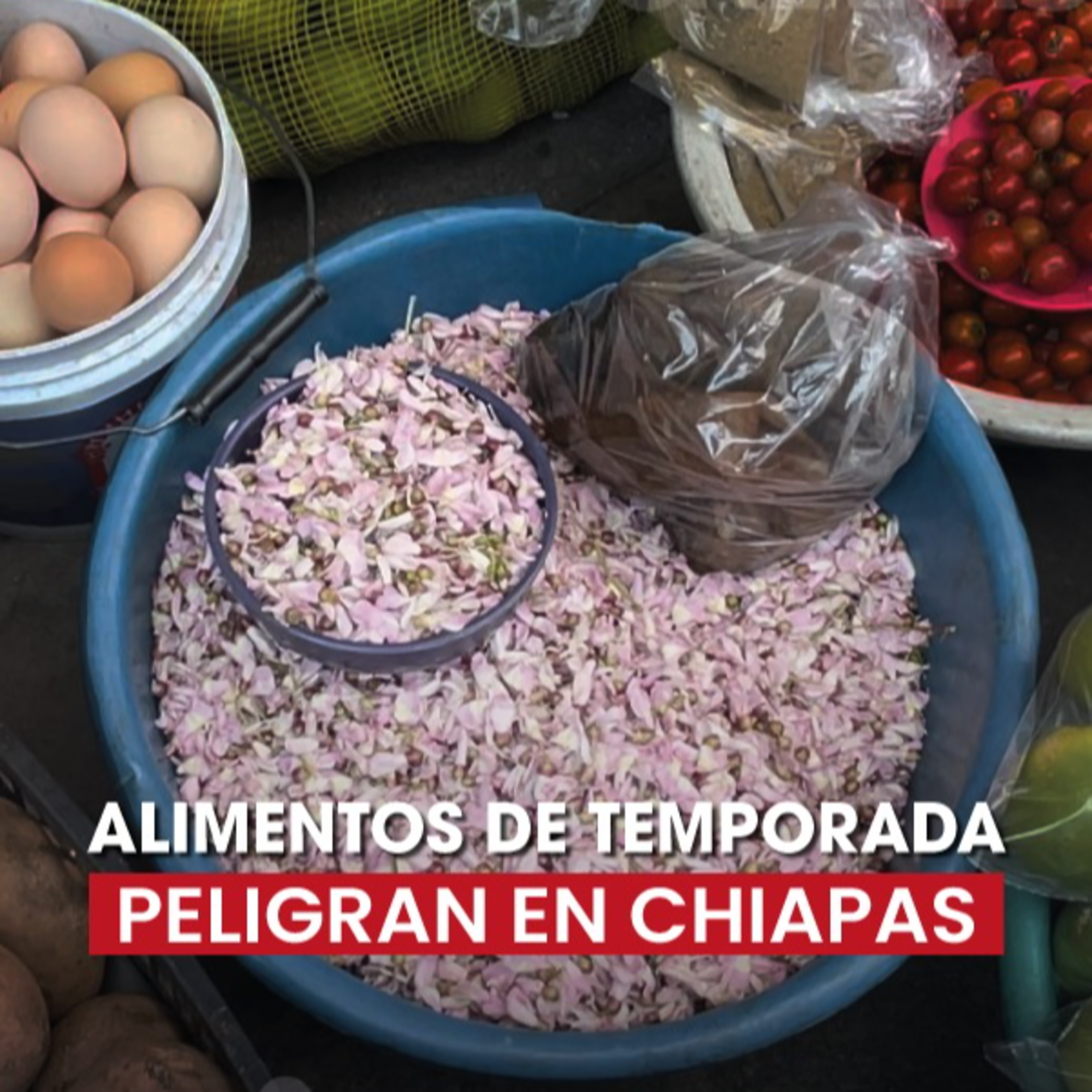 Alerta Chiapas
