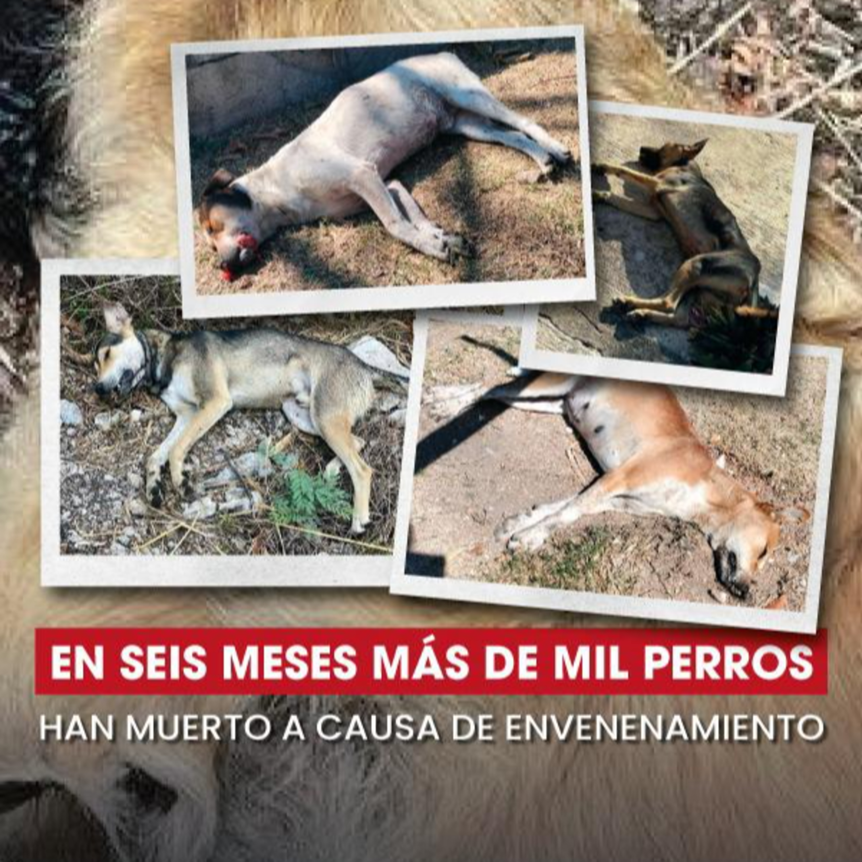 Alerta Chiapas