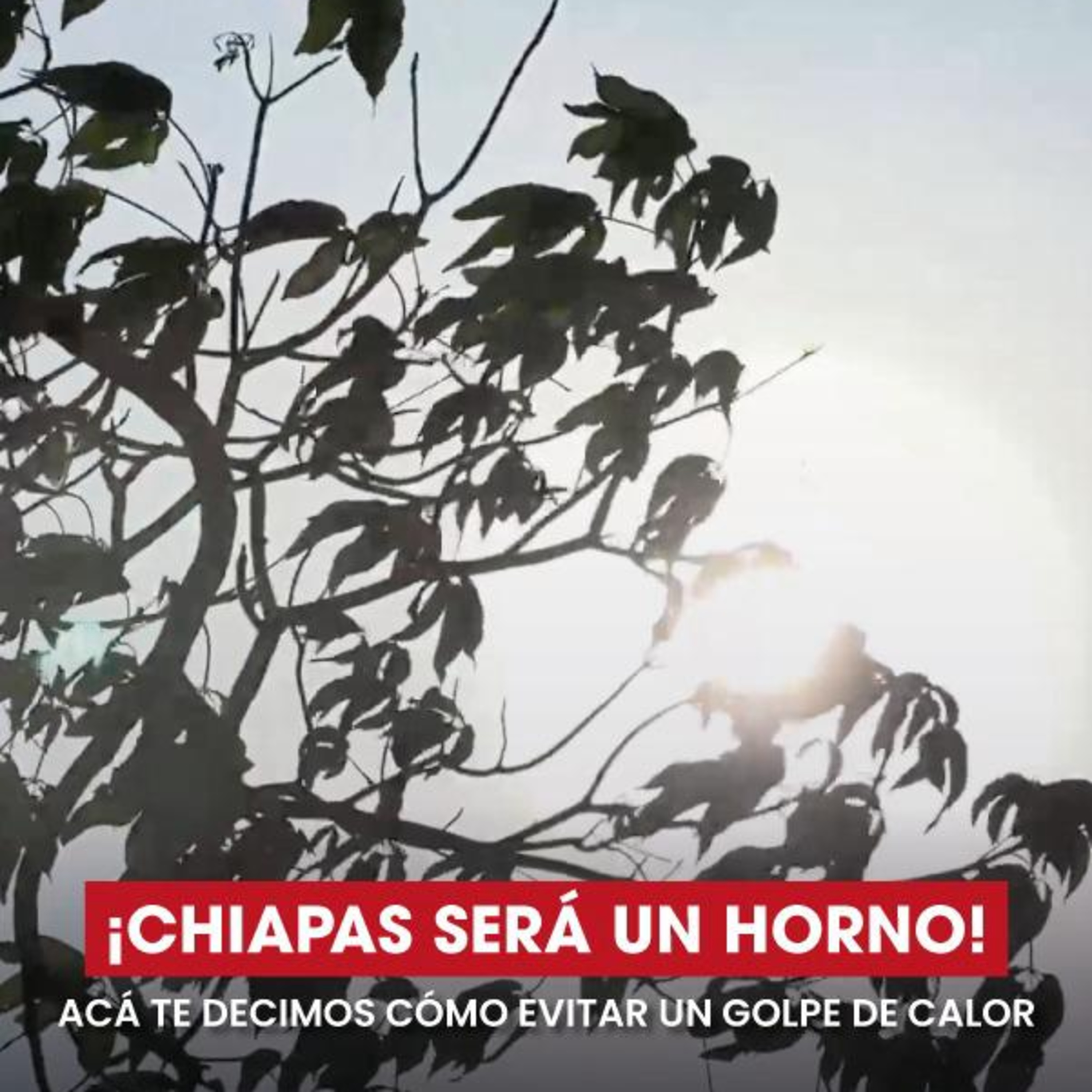 Alerta Chiapas