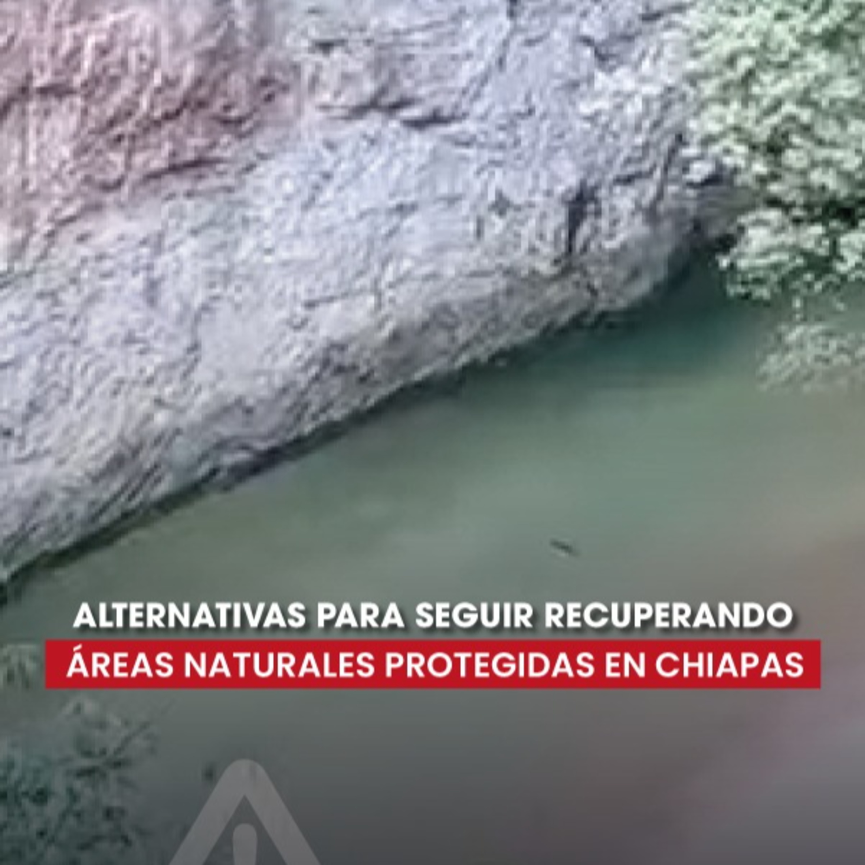 Alerta Chiapas