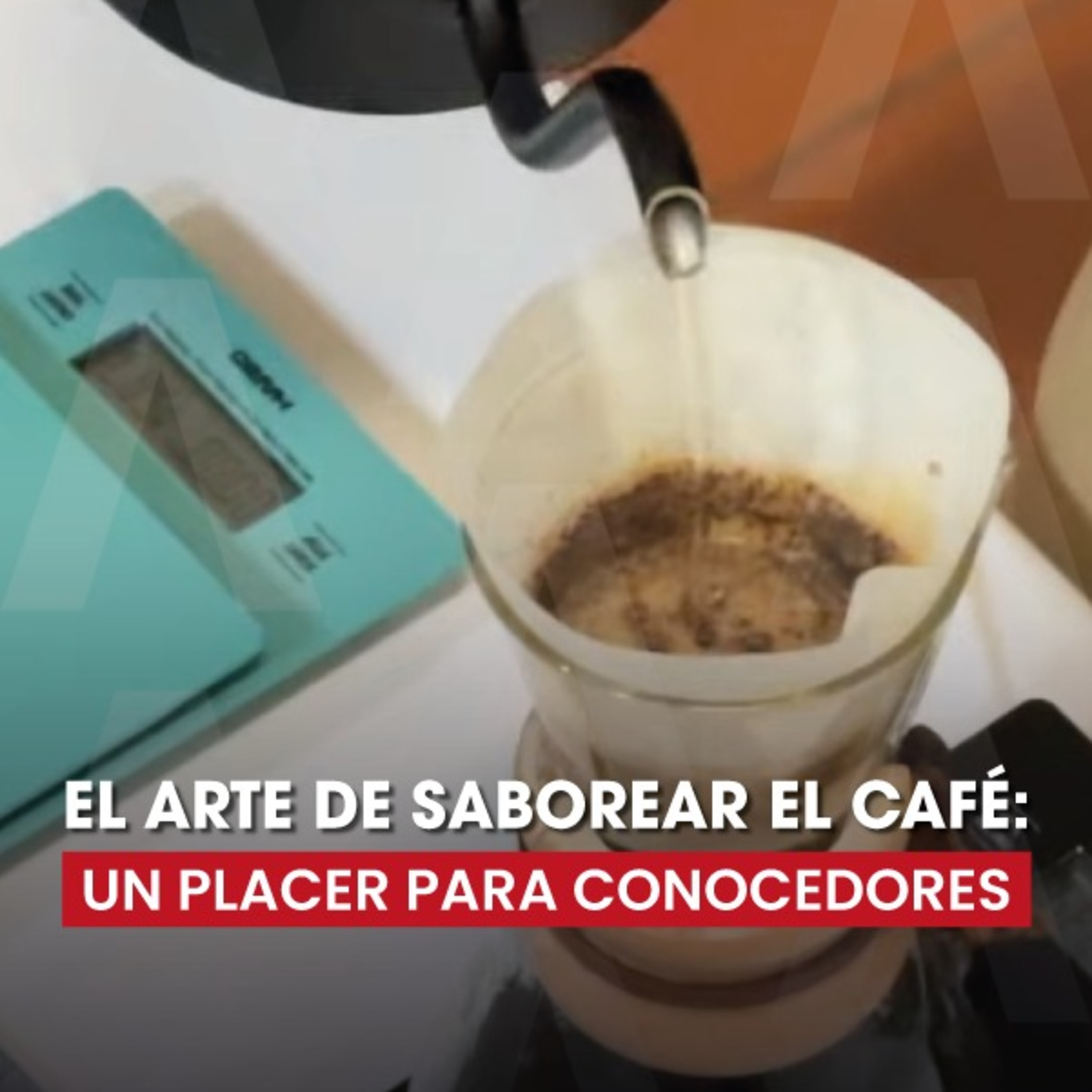☕ El arte de disfrutar un buen café chiapaneco: ¡Aprende los secretos de los expertos!  episode artwork