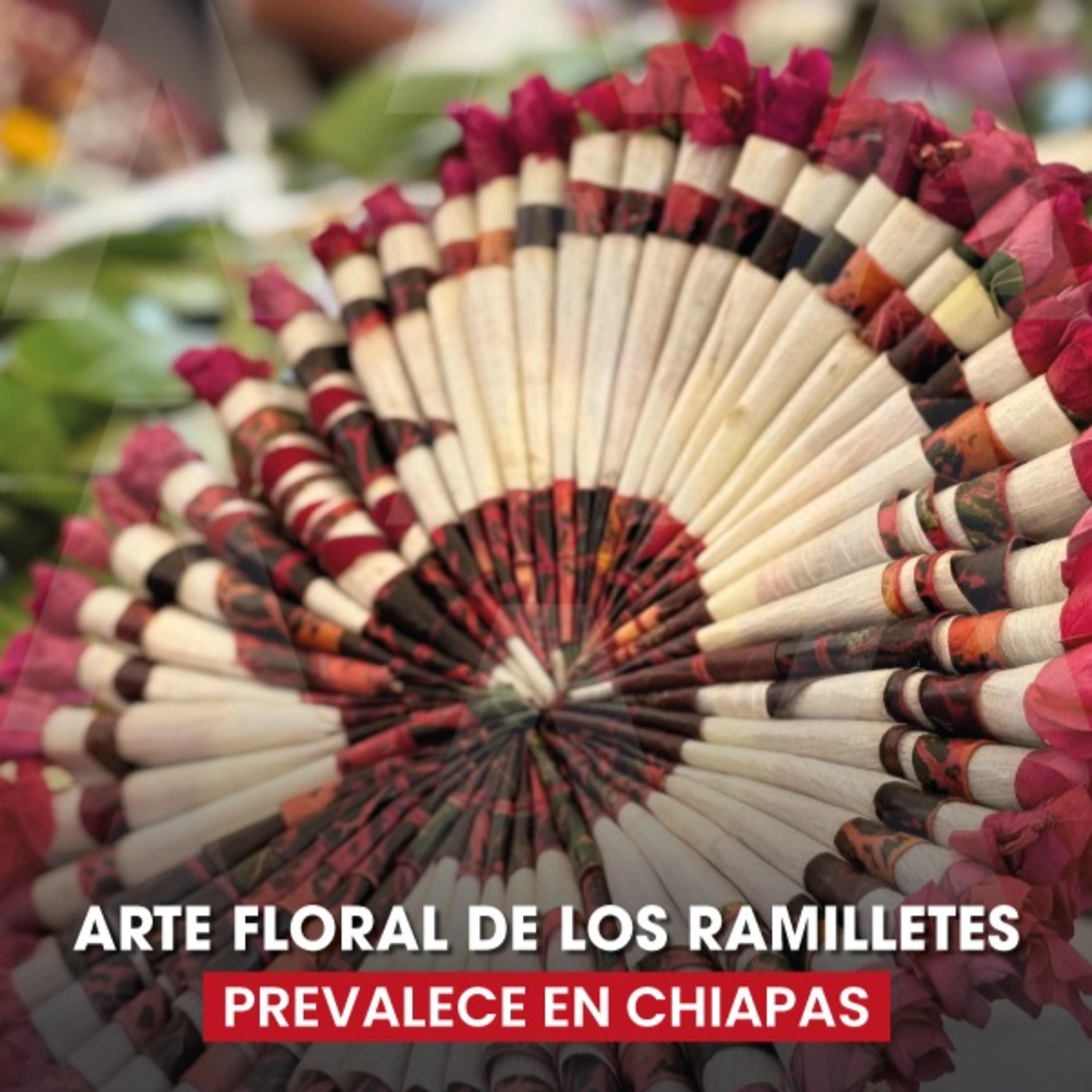 Alerta Chiapas