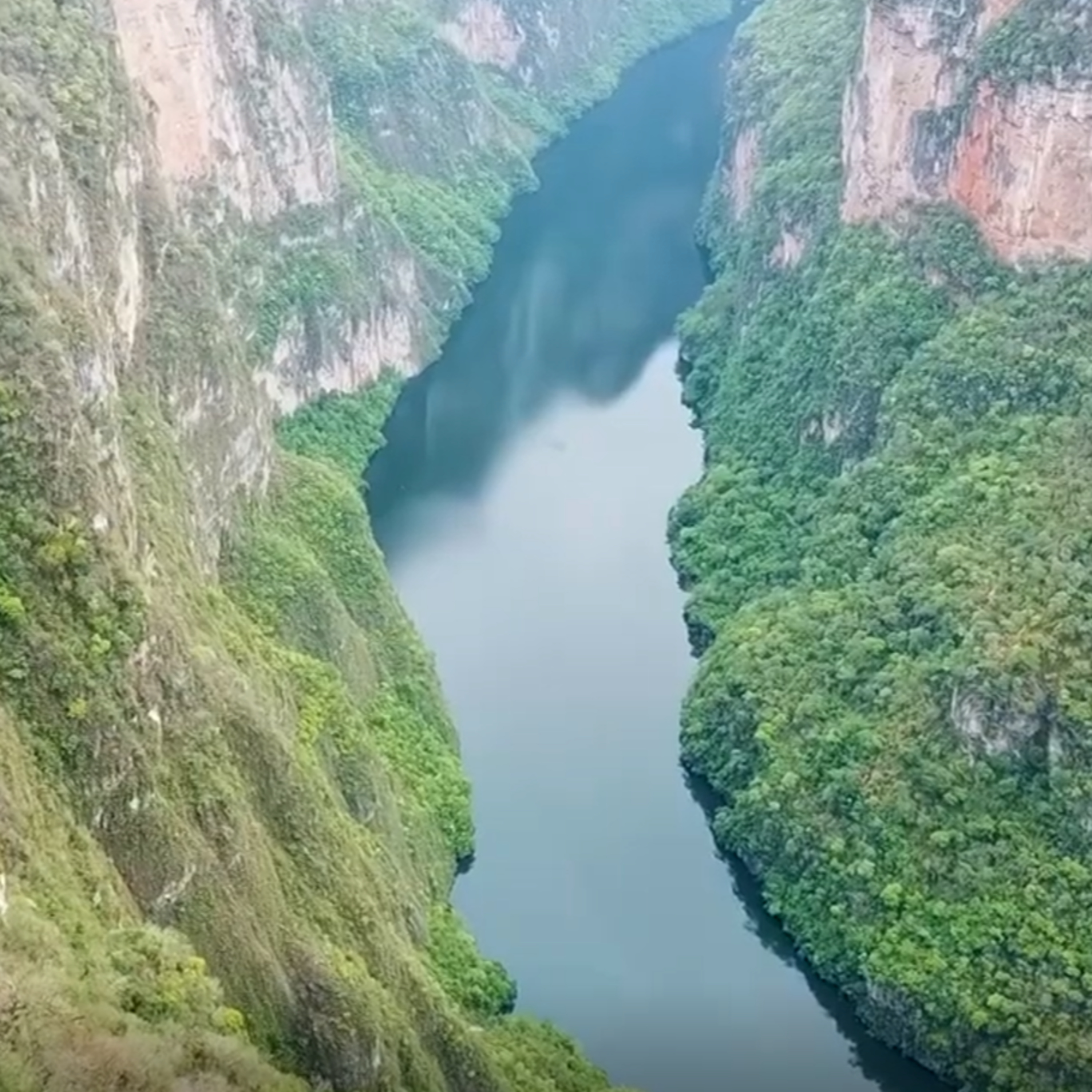Cañón del Sumidero pierde 3 mil hectáreas por invasiones. episode artwork