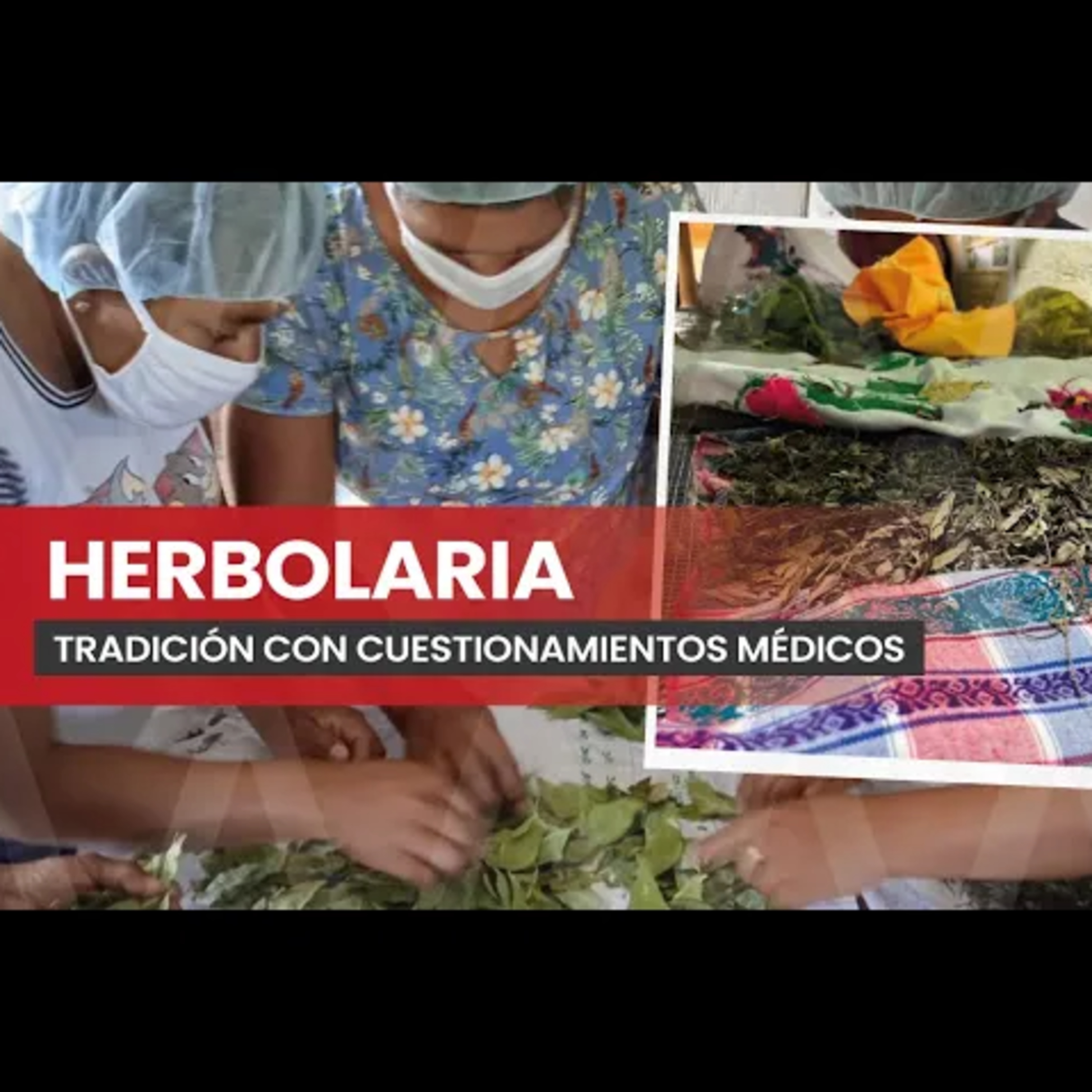 HERBOLARIA: Entre la cura y el riesgo episode artwork