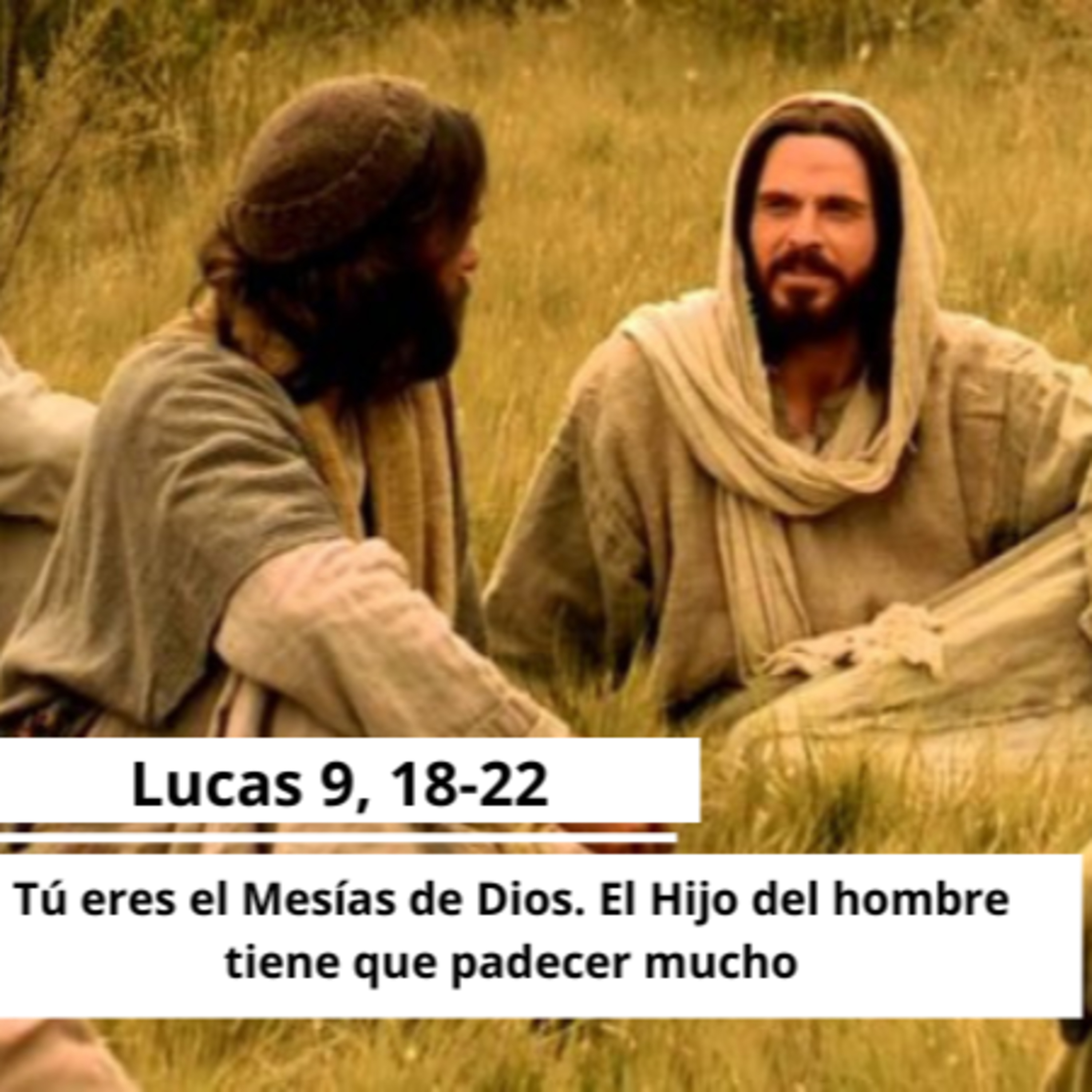 Portada de FUMDIR