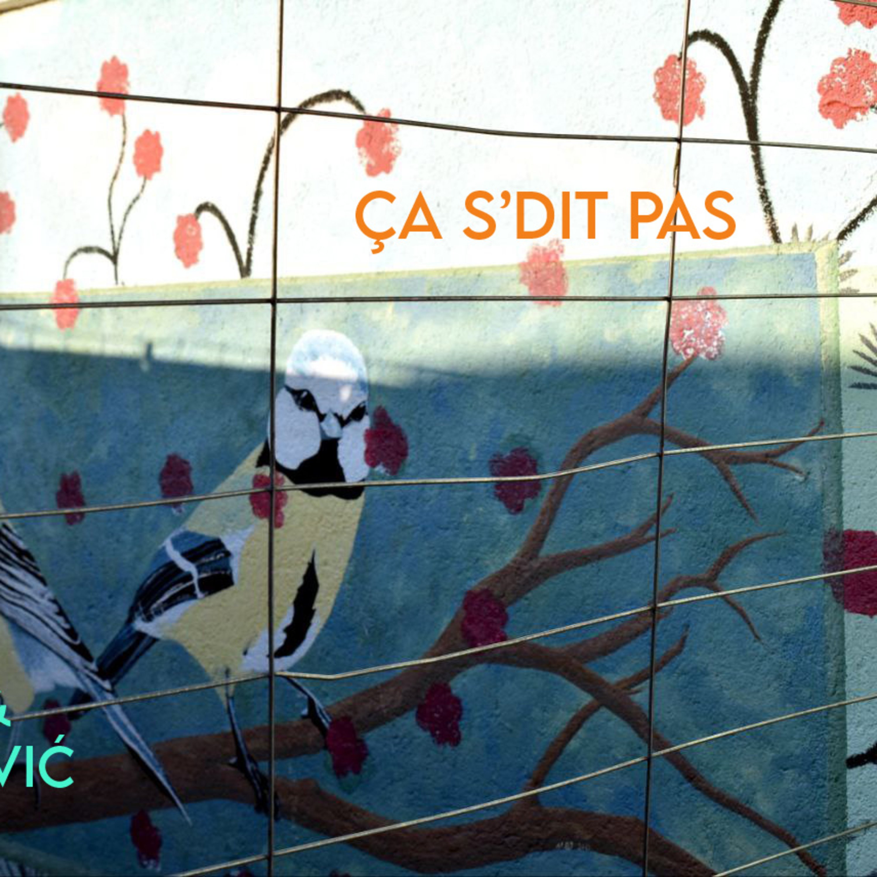 Ça s'dit pas - épisode 13 - Identité 1 - Bora-Bora