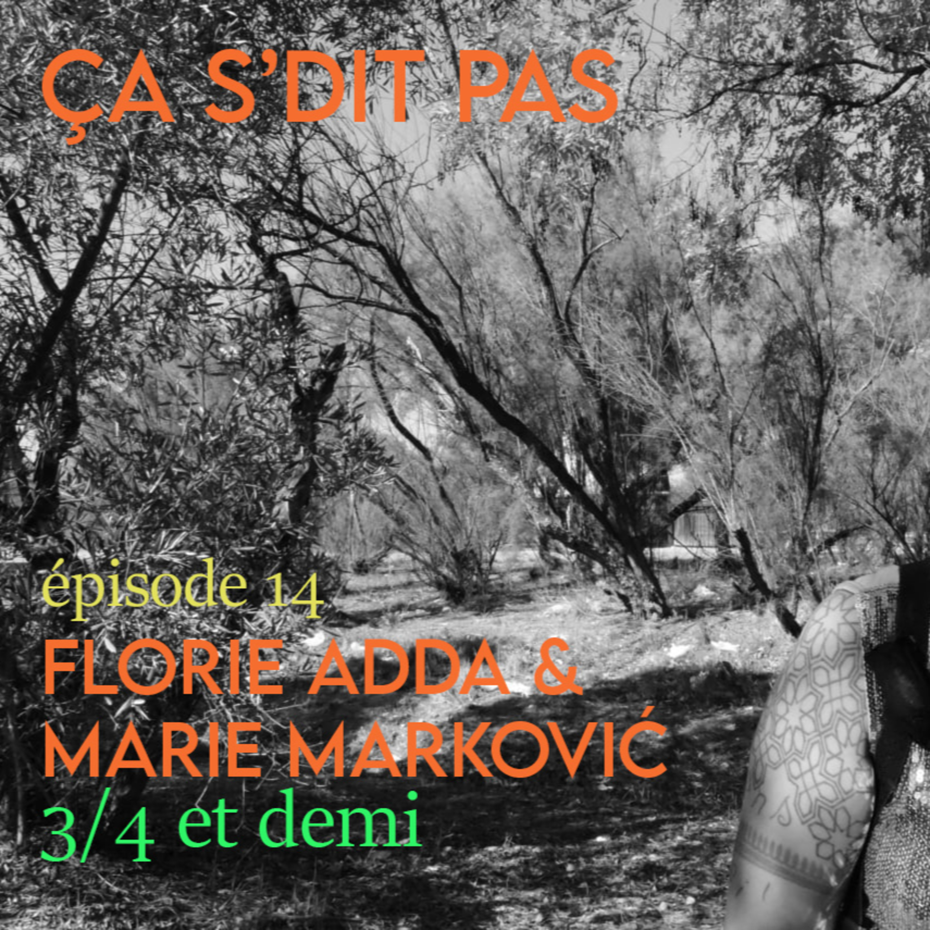 Ça s'dit pas - épisode 14 - Identité 2 - 3/4 et demi