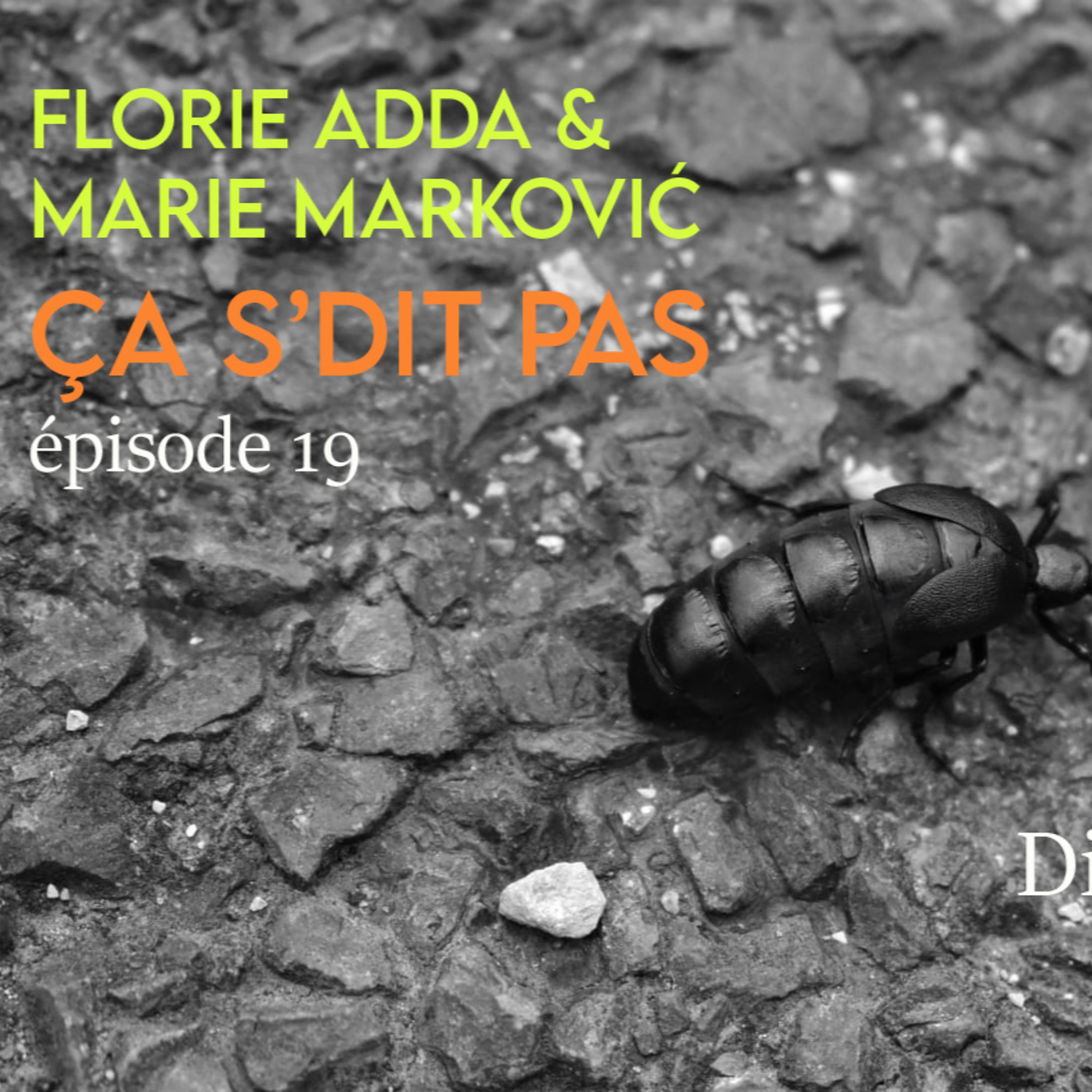 Ça s'dit pas - épisode 19 - Régulation 3 - Diplofocus