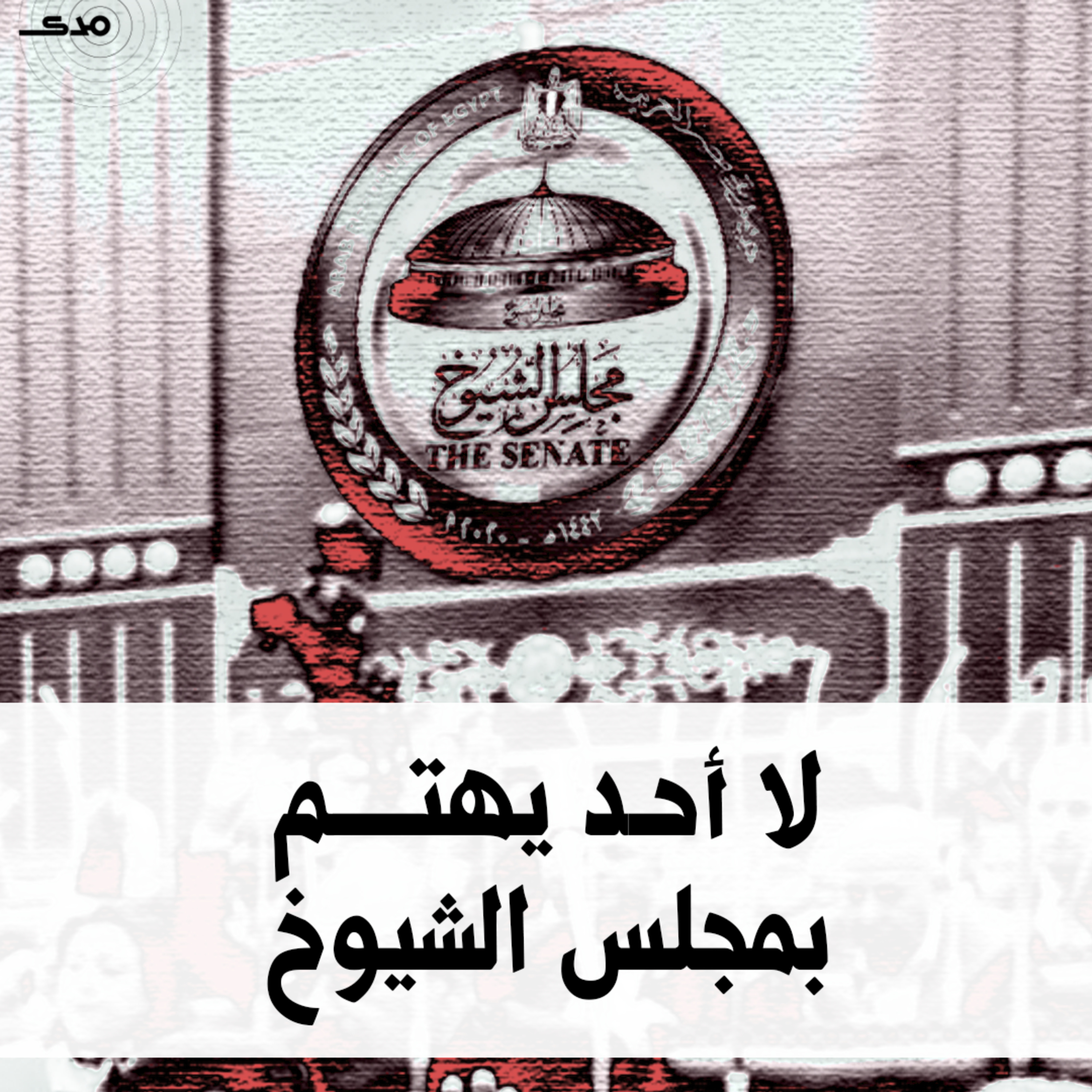 لا أحد يهتم بـمجلس الشيوخ