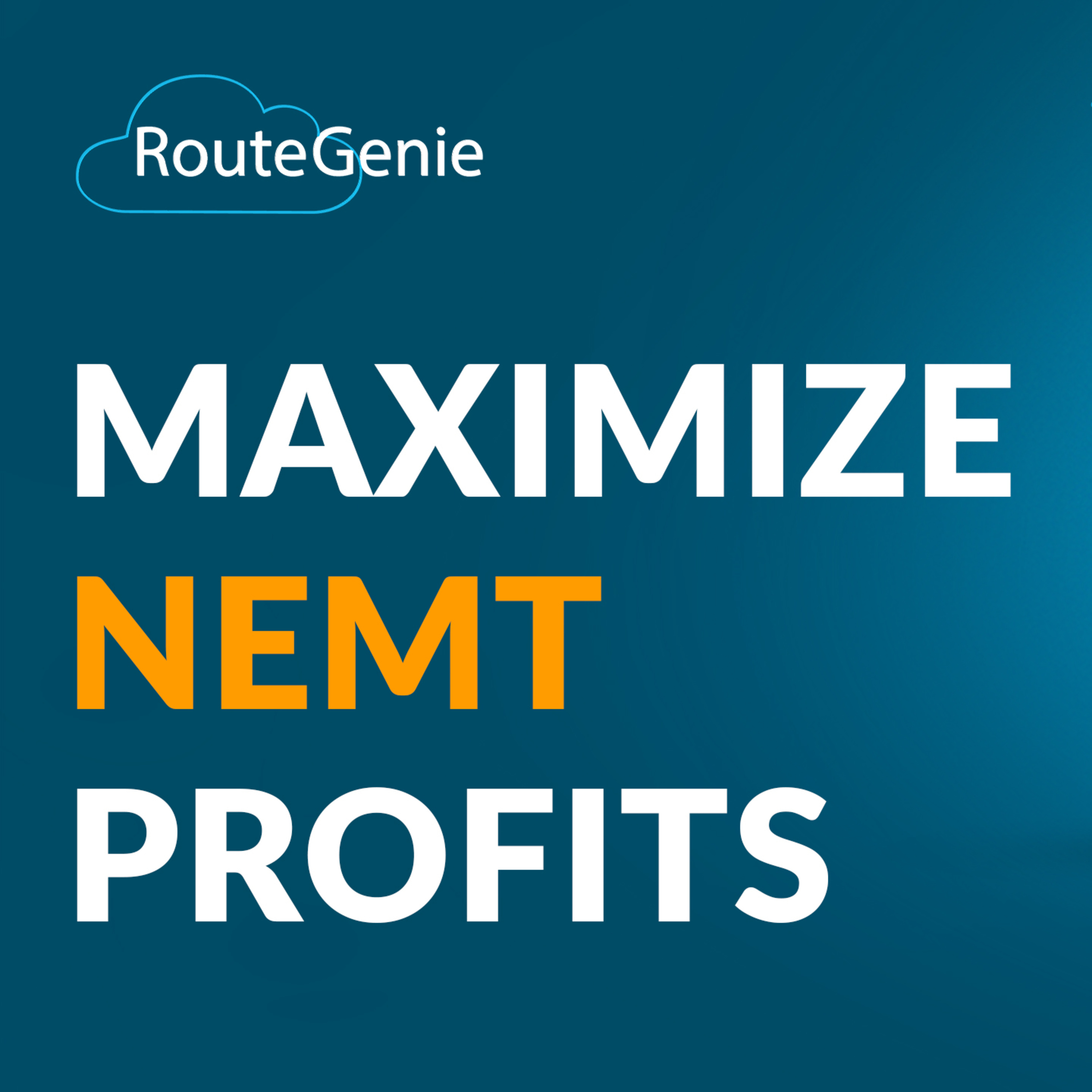 RouteGenie: Medical Transportation Insights