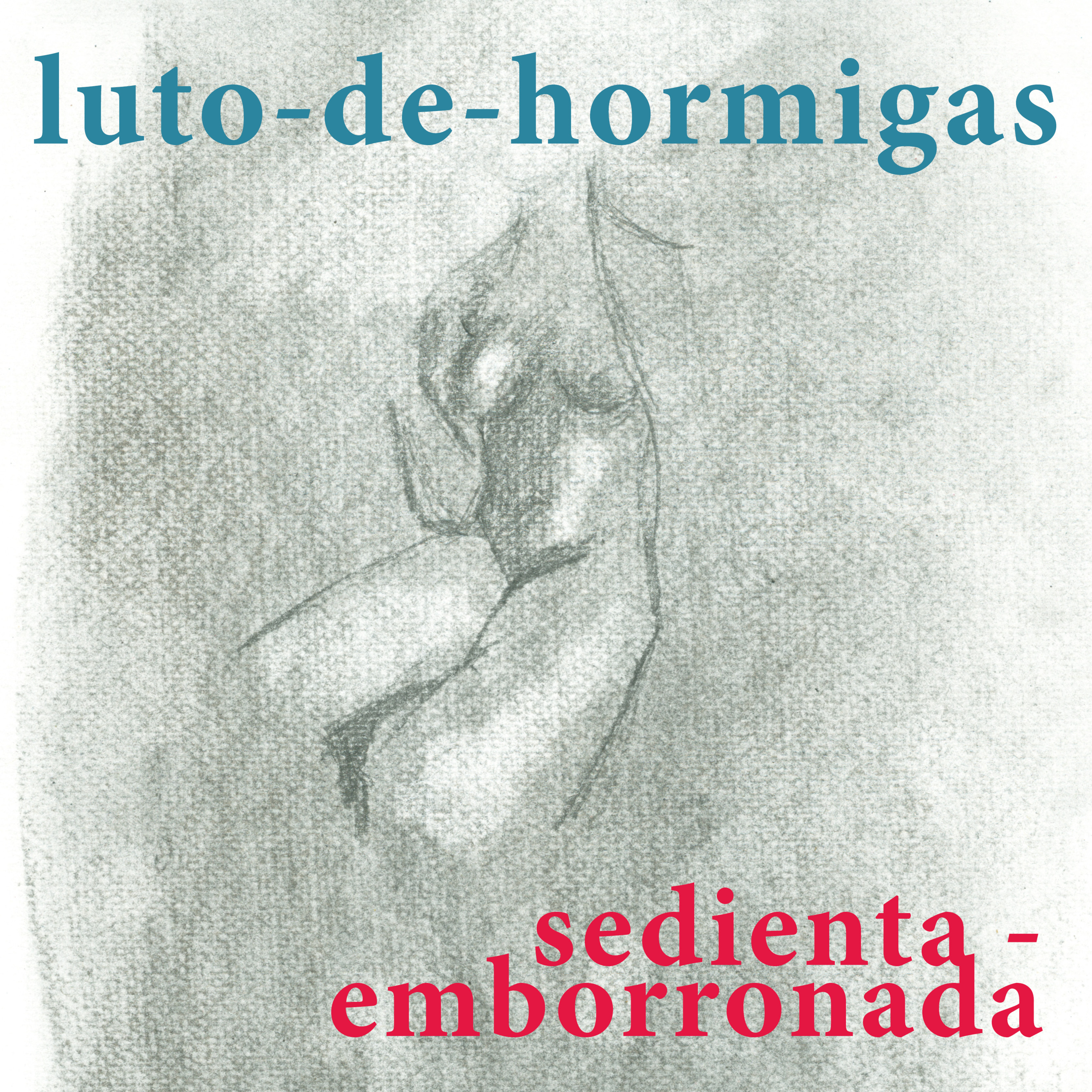 luto-de-hormigas/ants-mourning