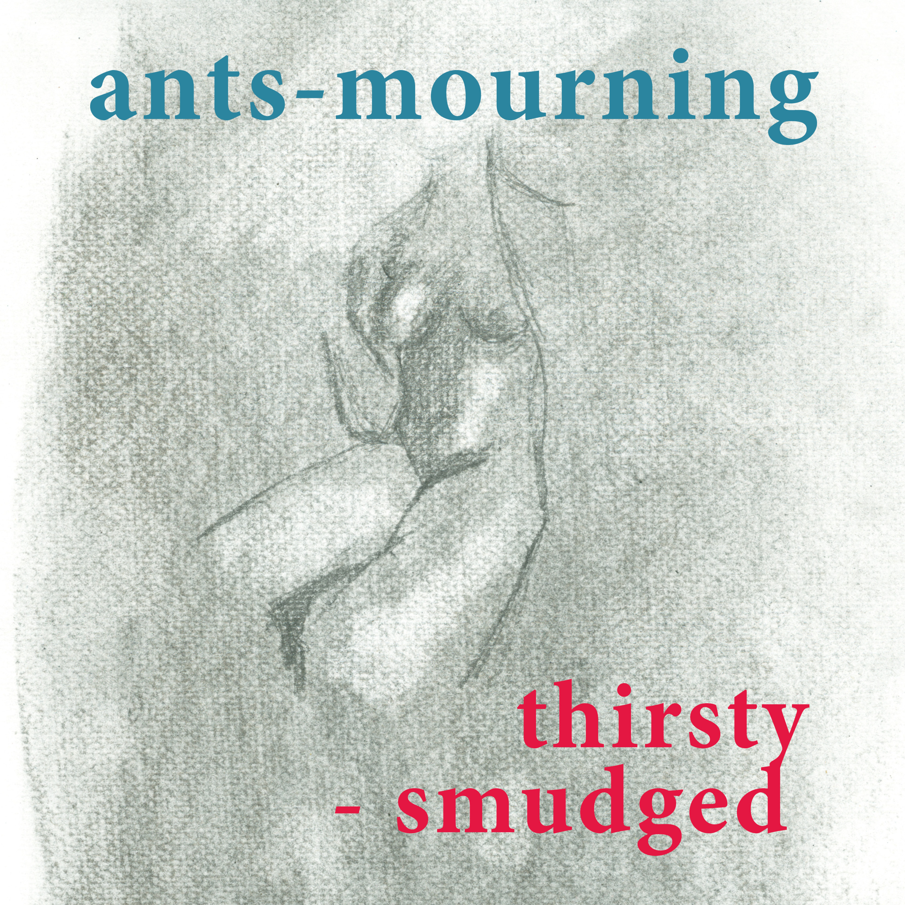 luto-de-hormigas/ants-mourning