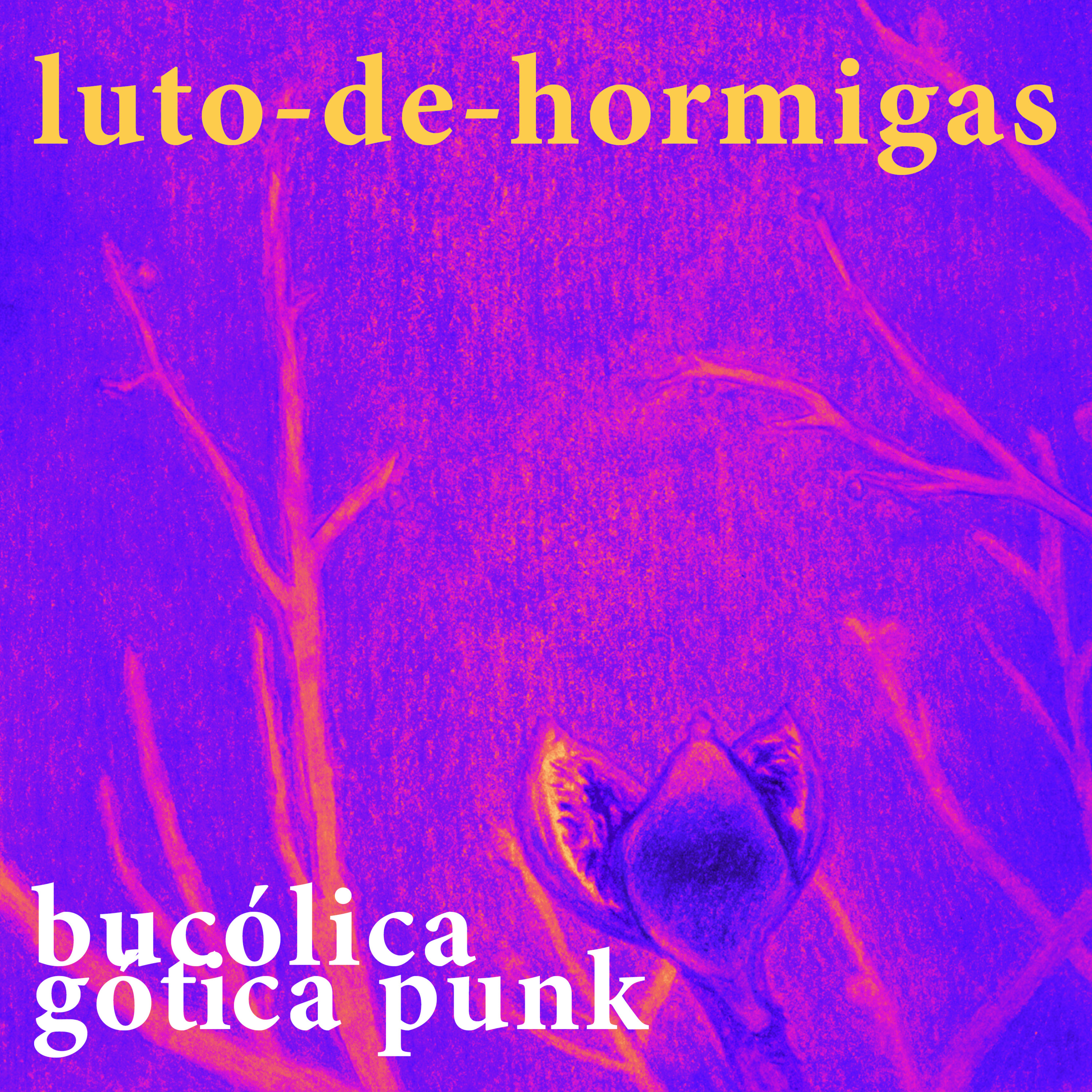 luto-de-hormigas/ants-mourning