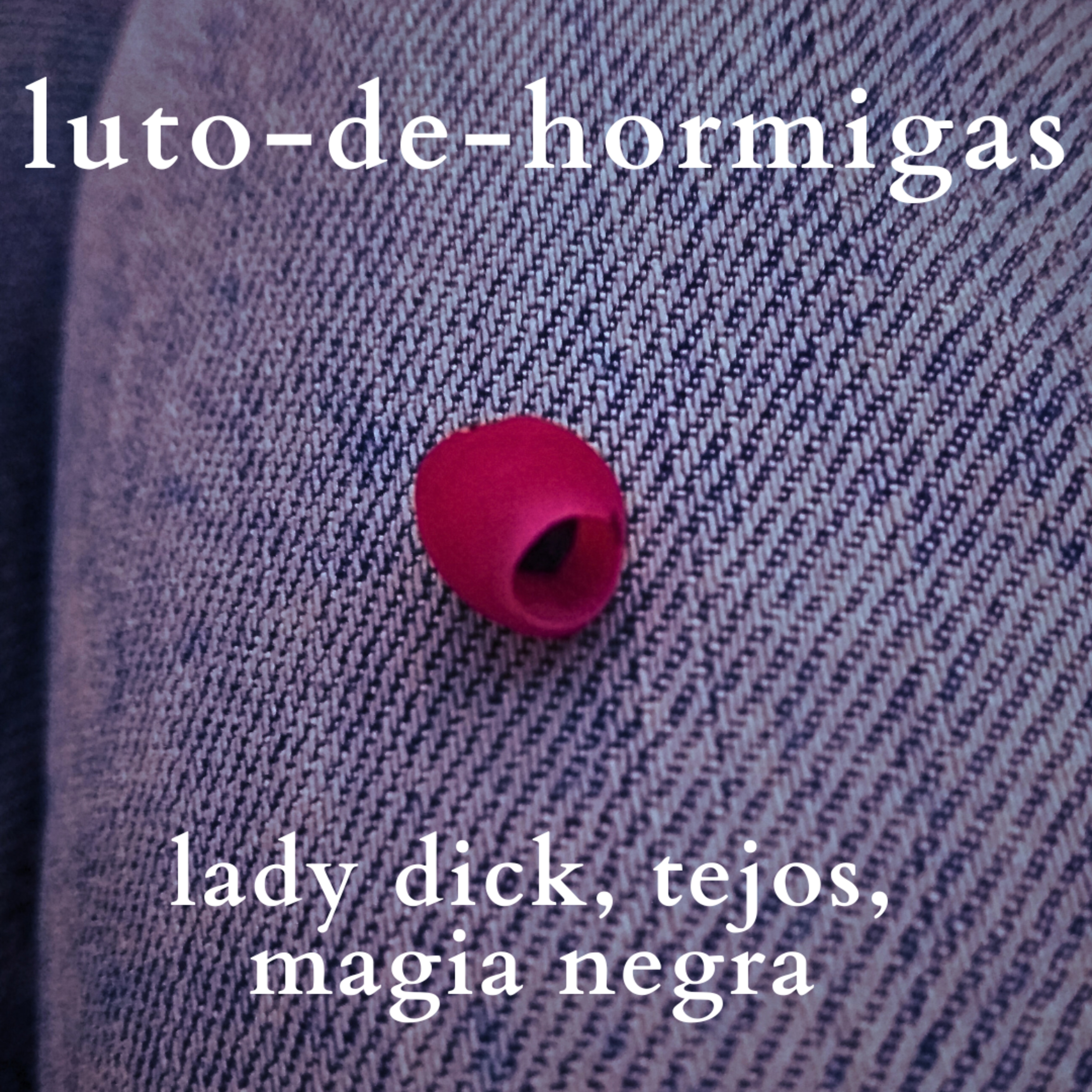 luto-de-hormigas/ants-mourning