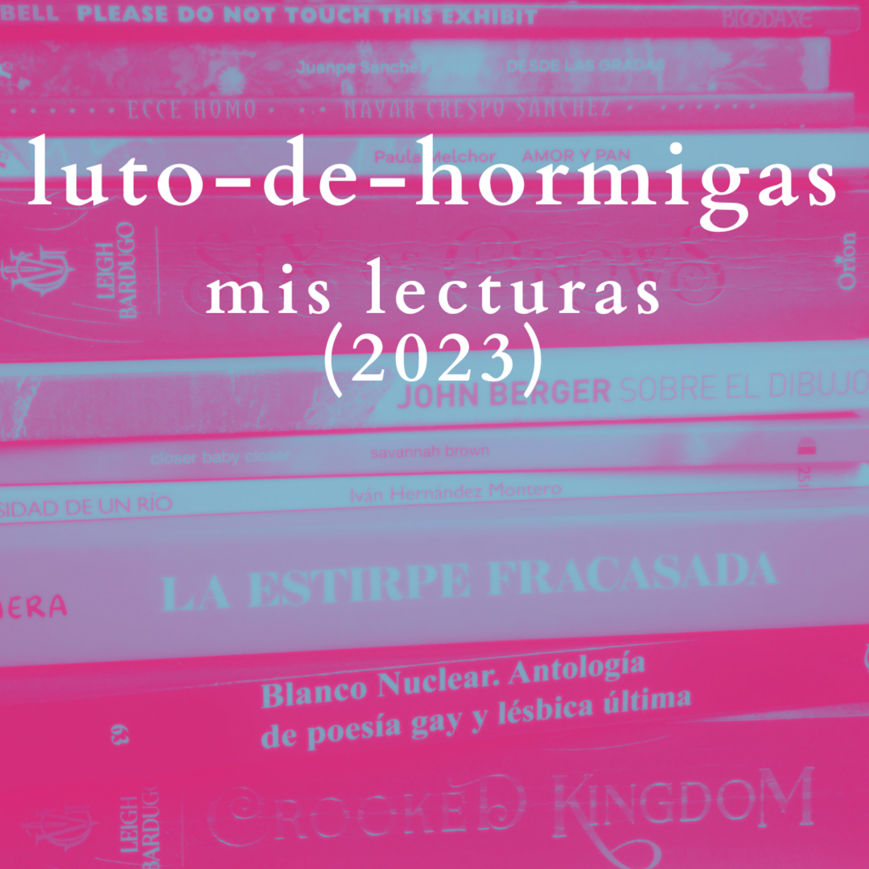 luto-de-hormigas/ants-mourning