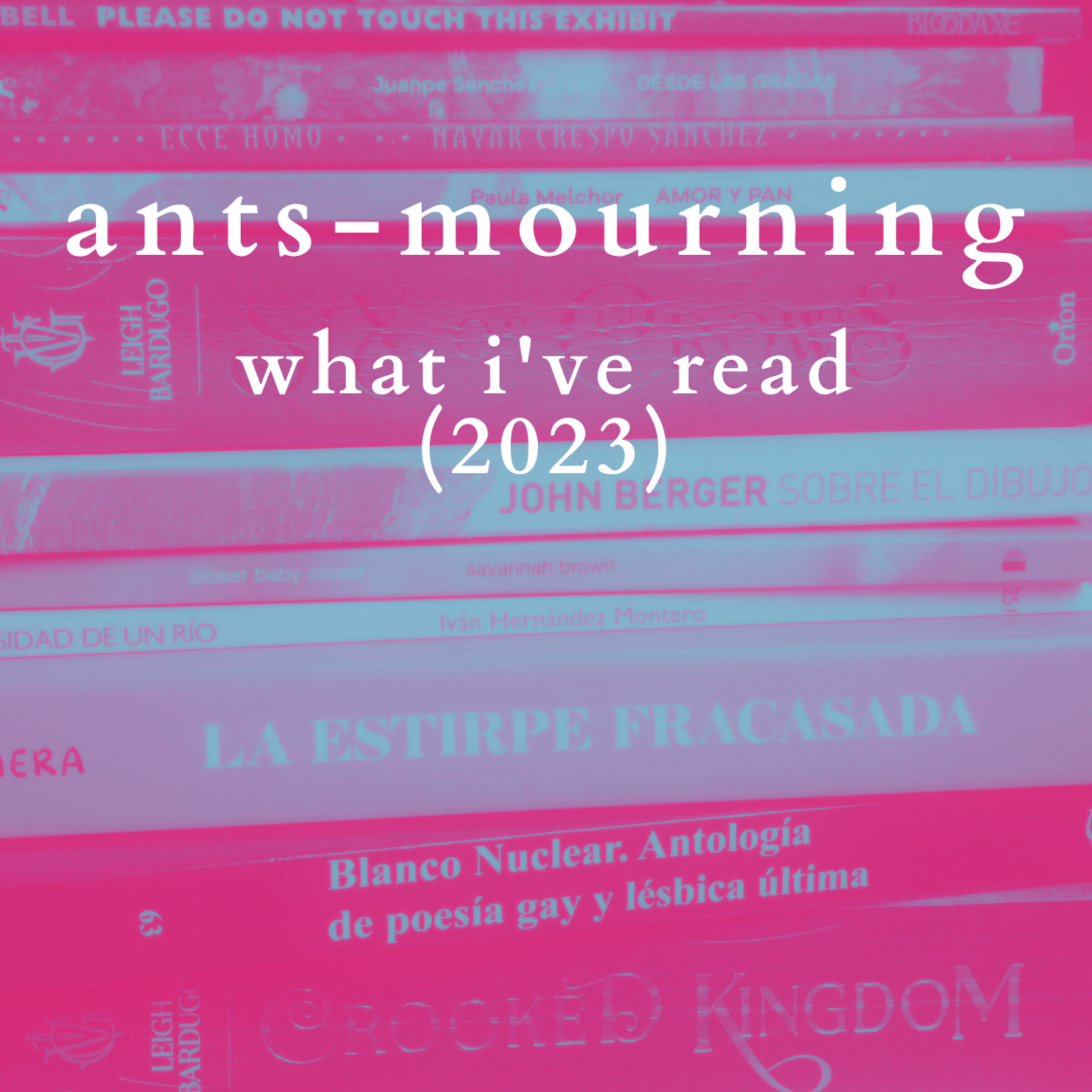 luto-de-hormigas/ants-mourning