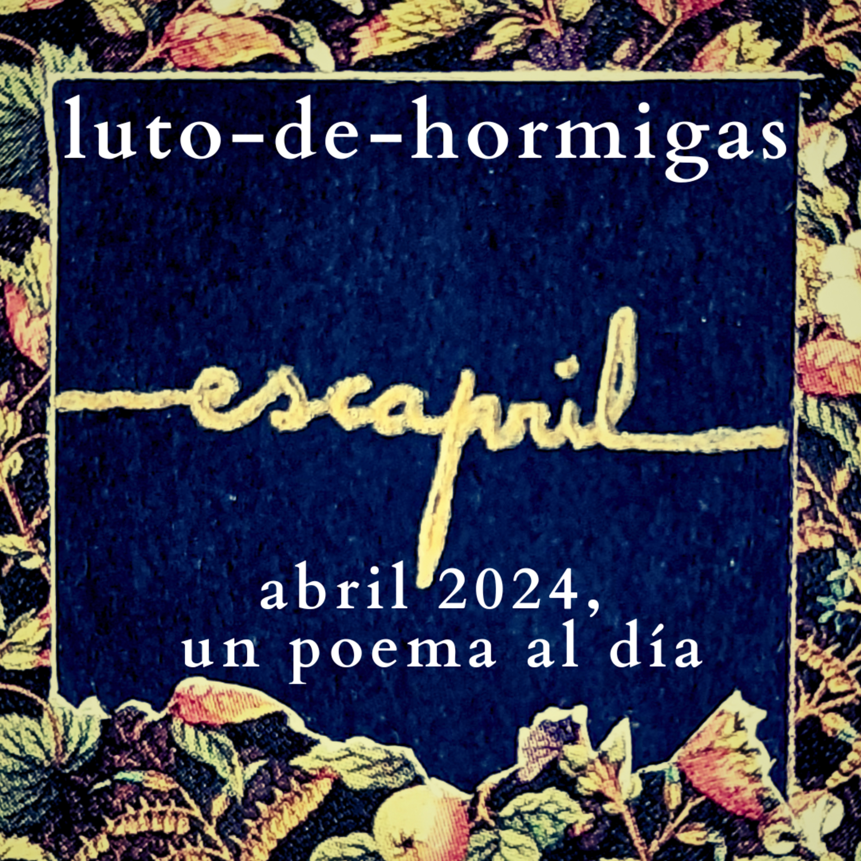 luto-de-hormigas/ants-mourning