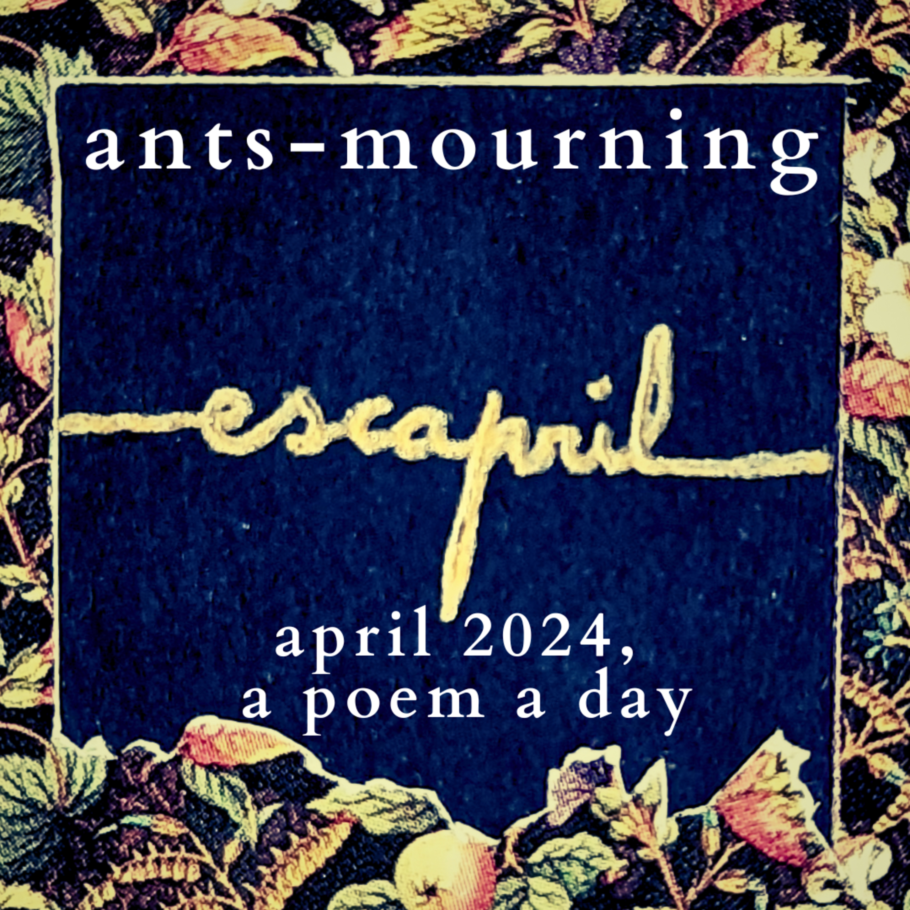 luto-de-hormigas/ants-mourning