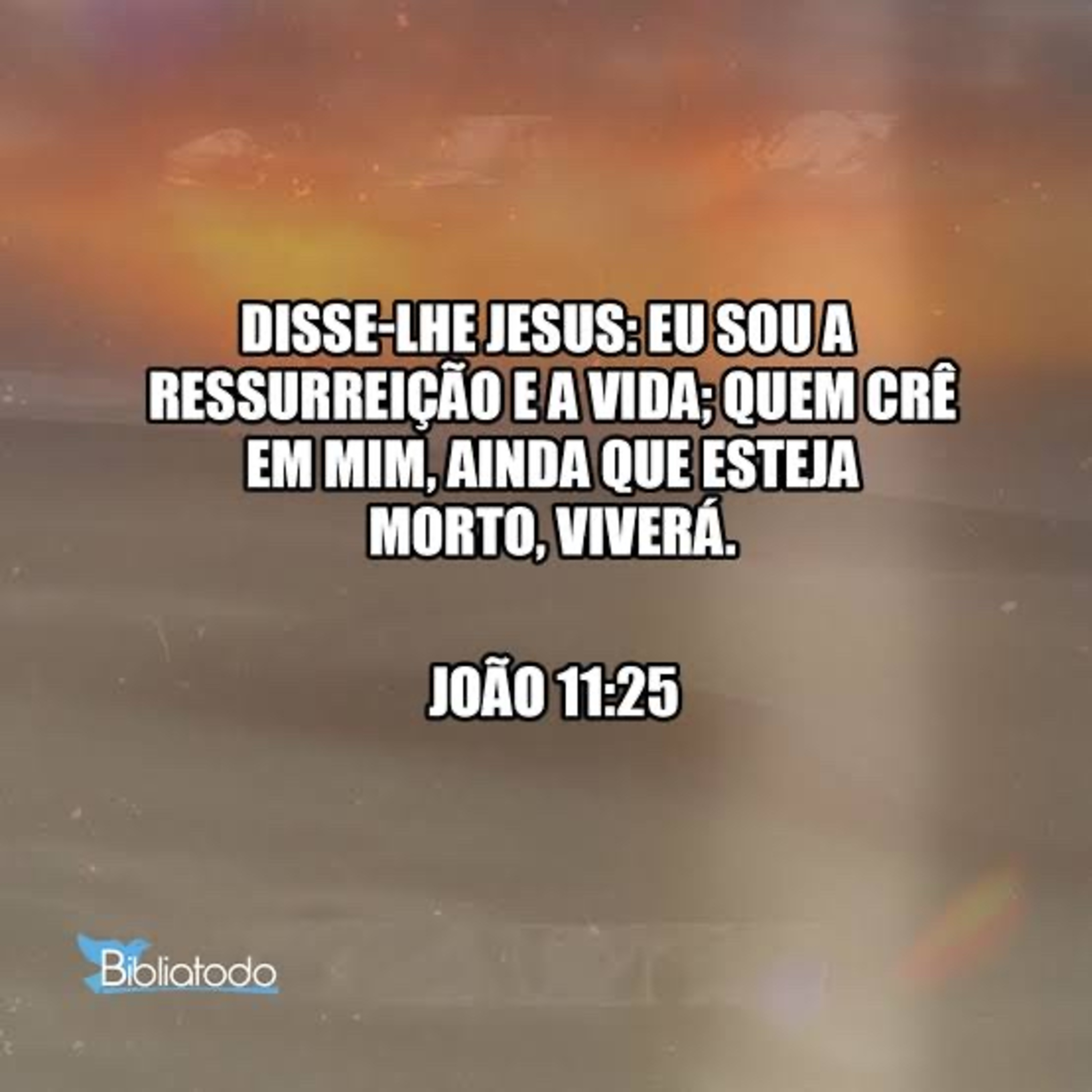 João 11:25 episode artwork
