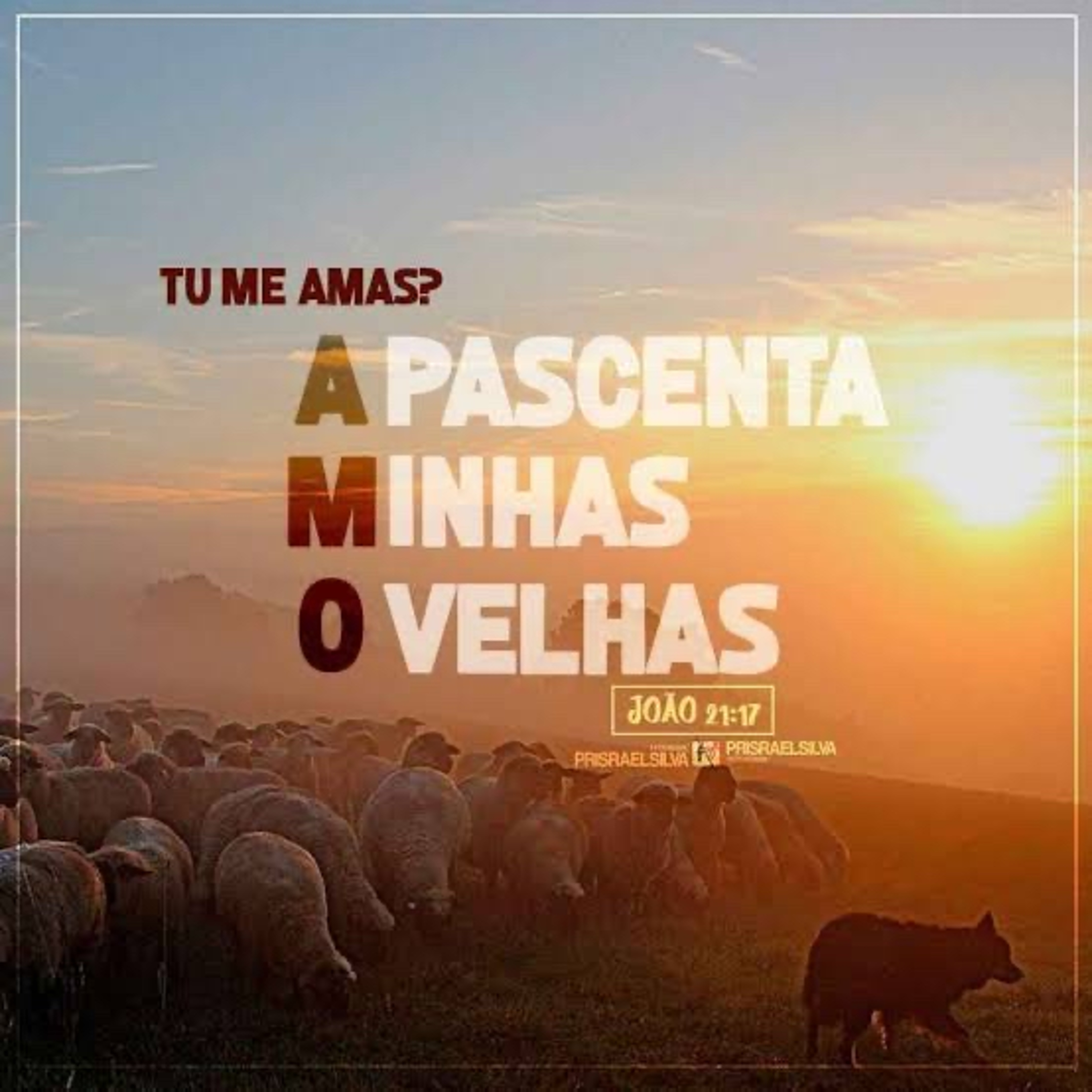 João 21:17 episode artwork