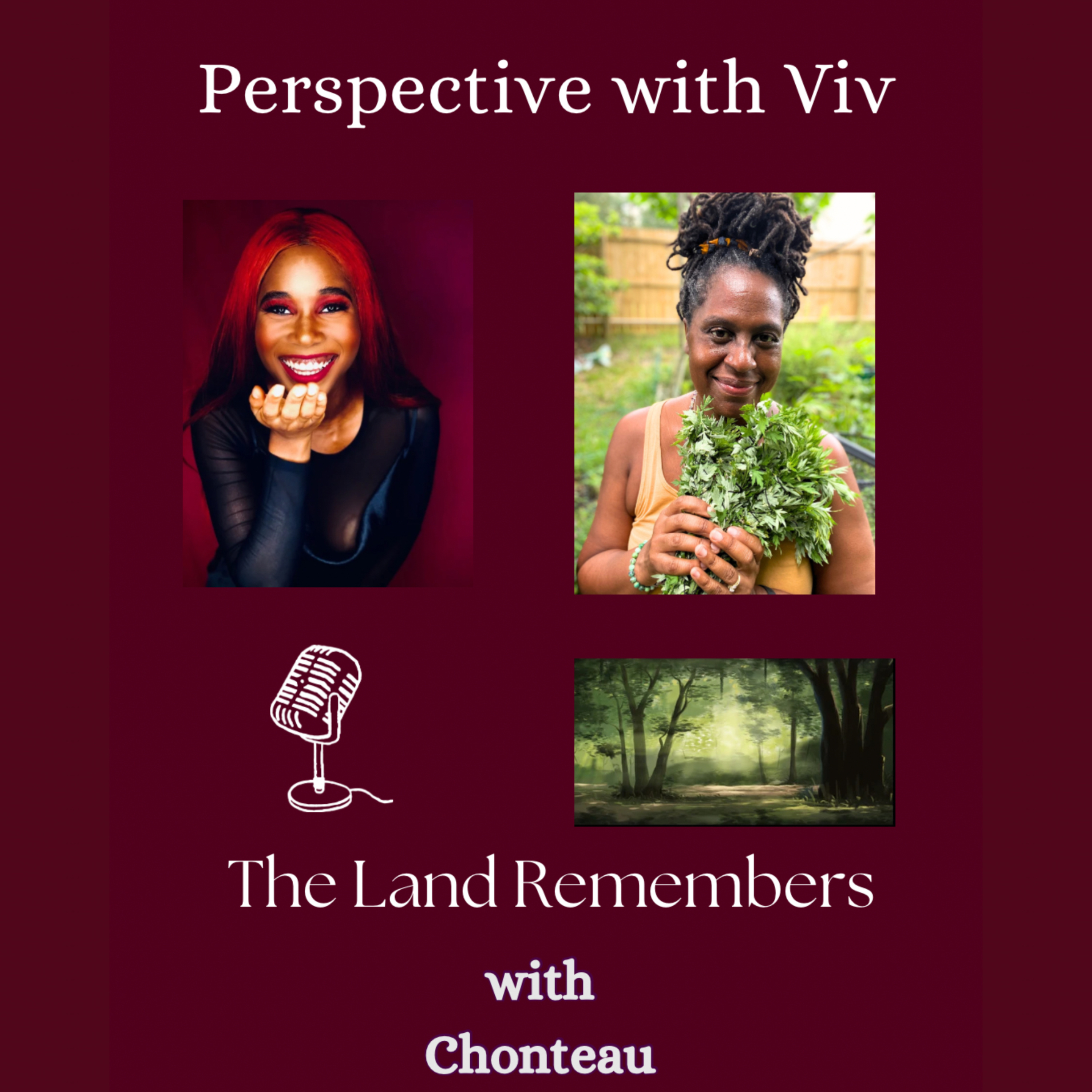 Perspective with Viv