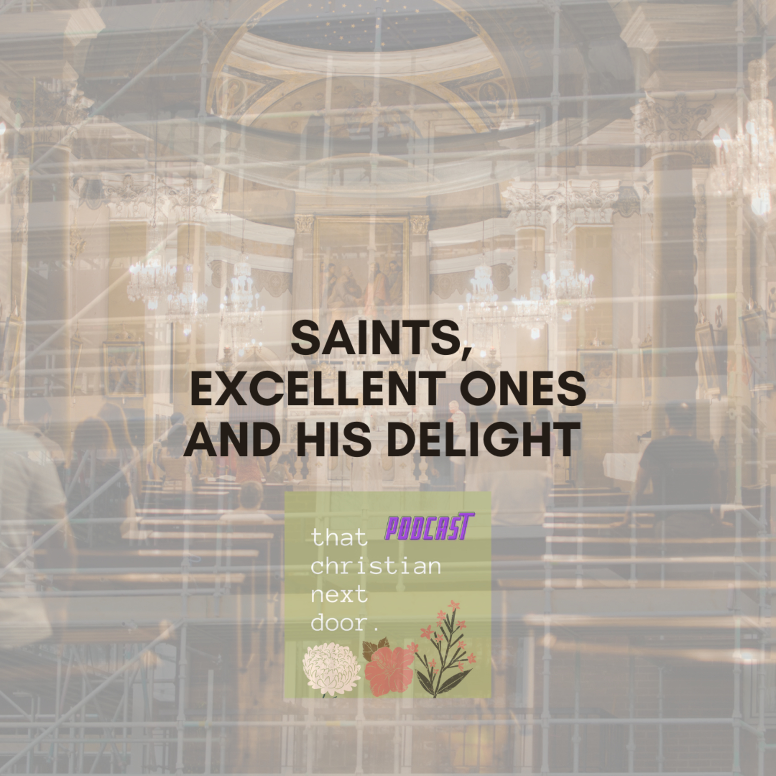 Saints, Excellent Ones and His Delight