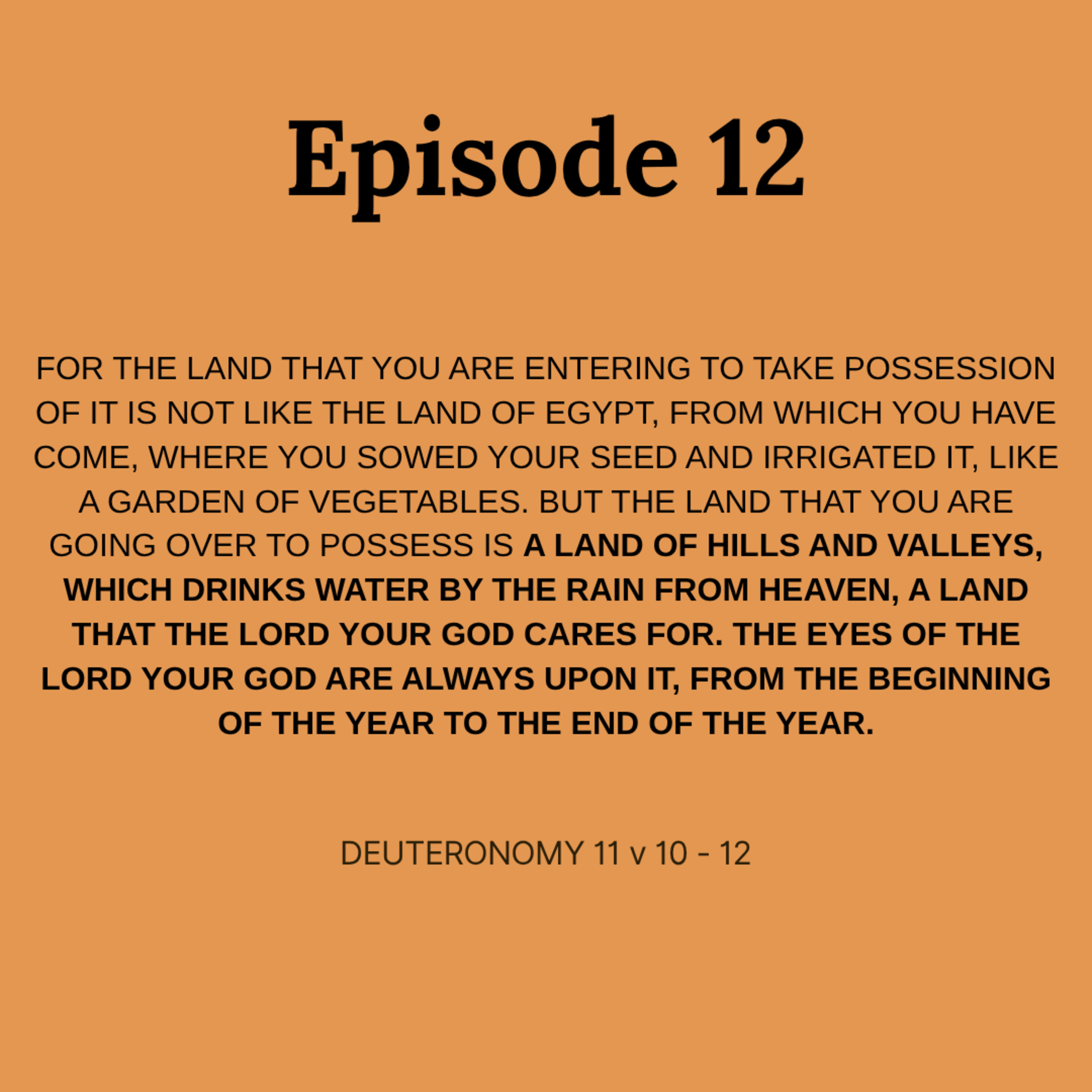 Jesus, Looking at Him, Loved Him