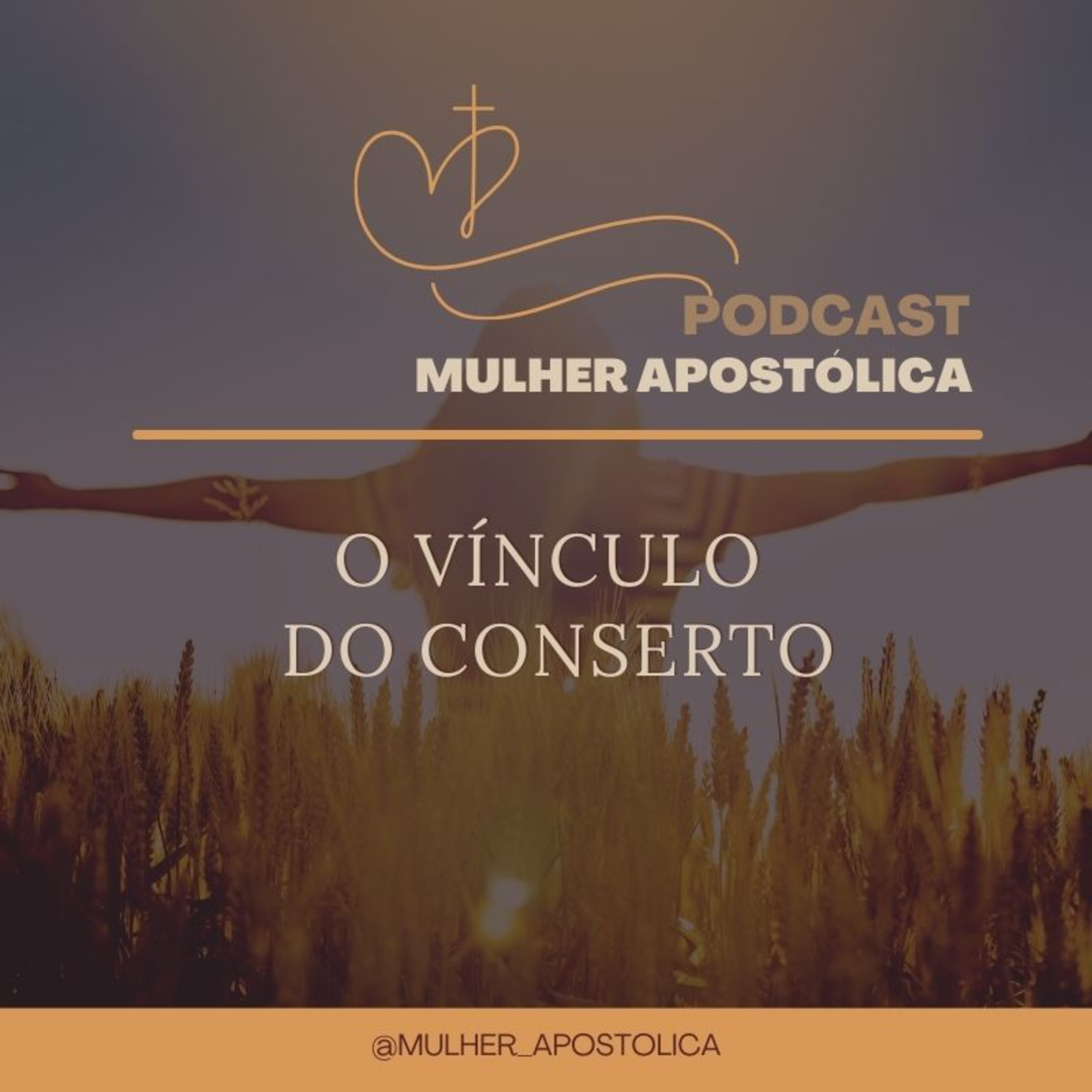 O vínculo do conserto episode artwork