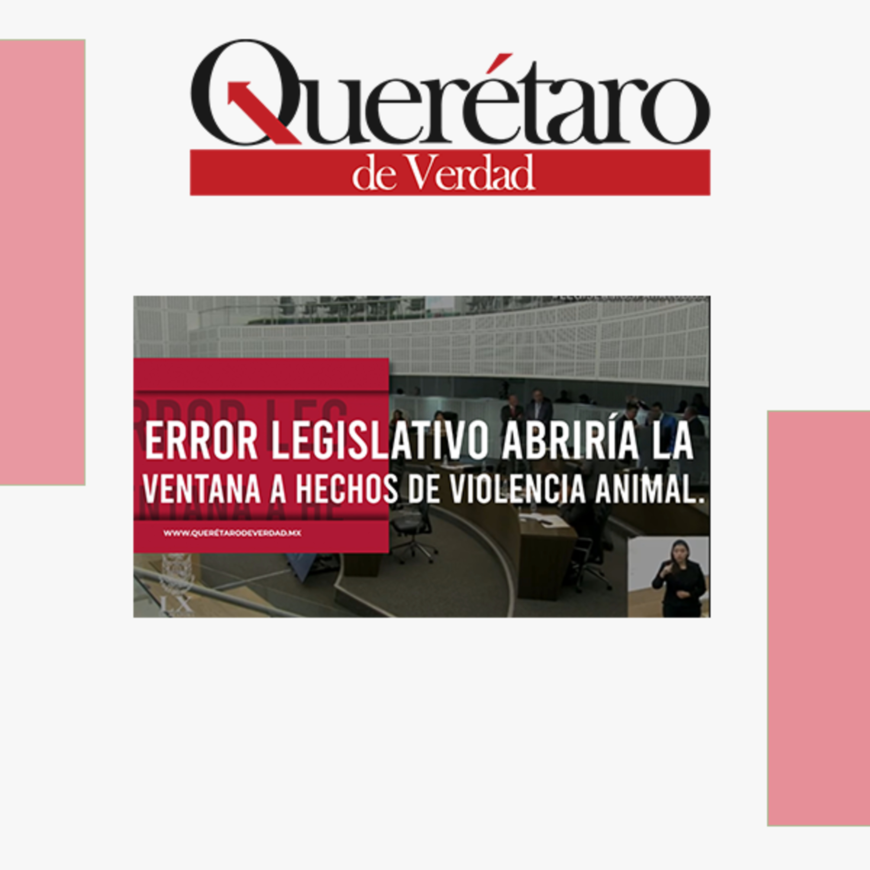  Error Legislativo abriría la ventana a hechos de #ViolenciaAnimal  episode artwork