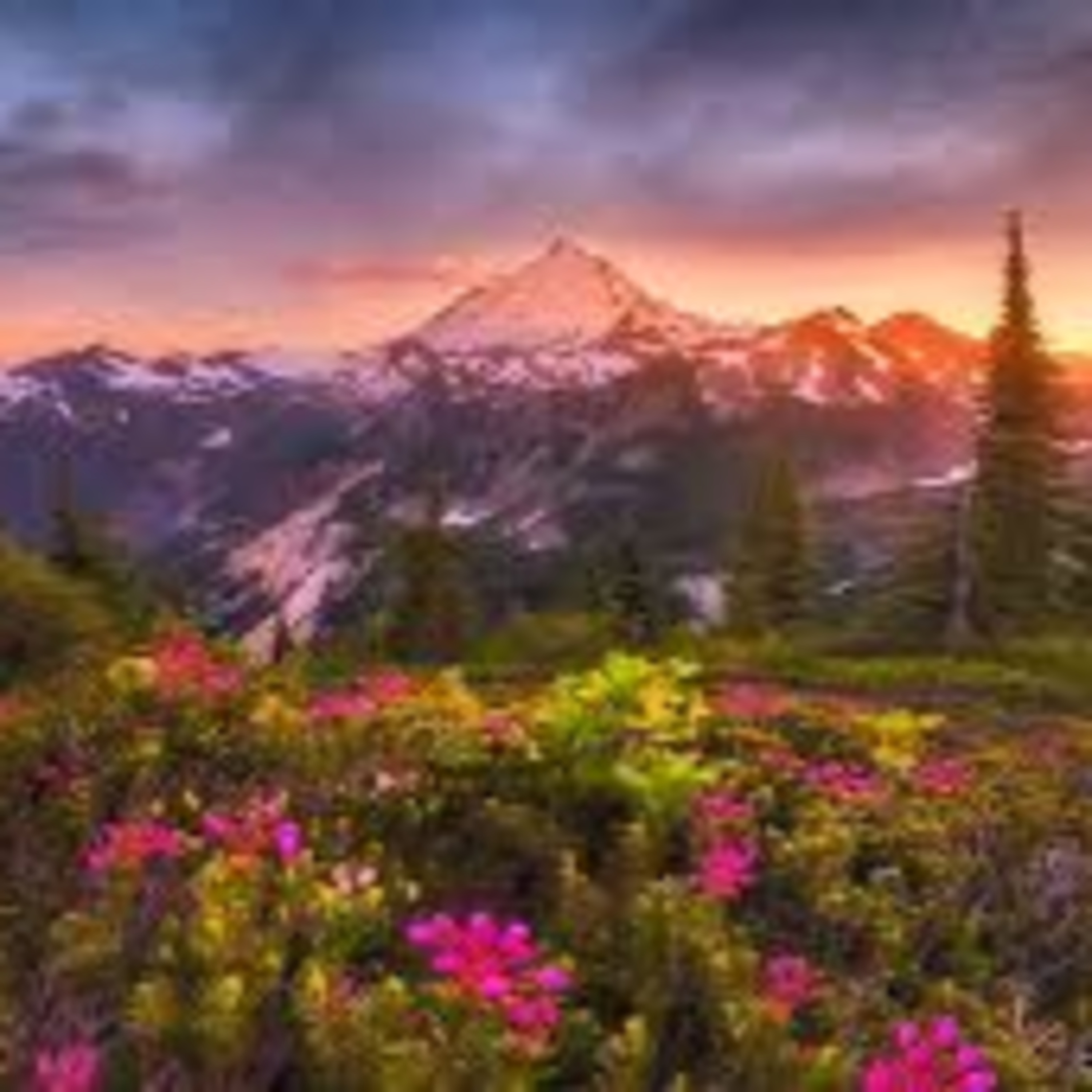 A Leisurely Stroll Through Middle-Earth