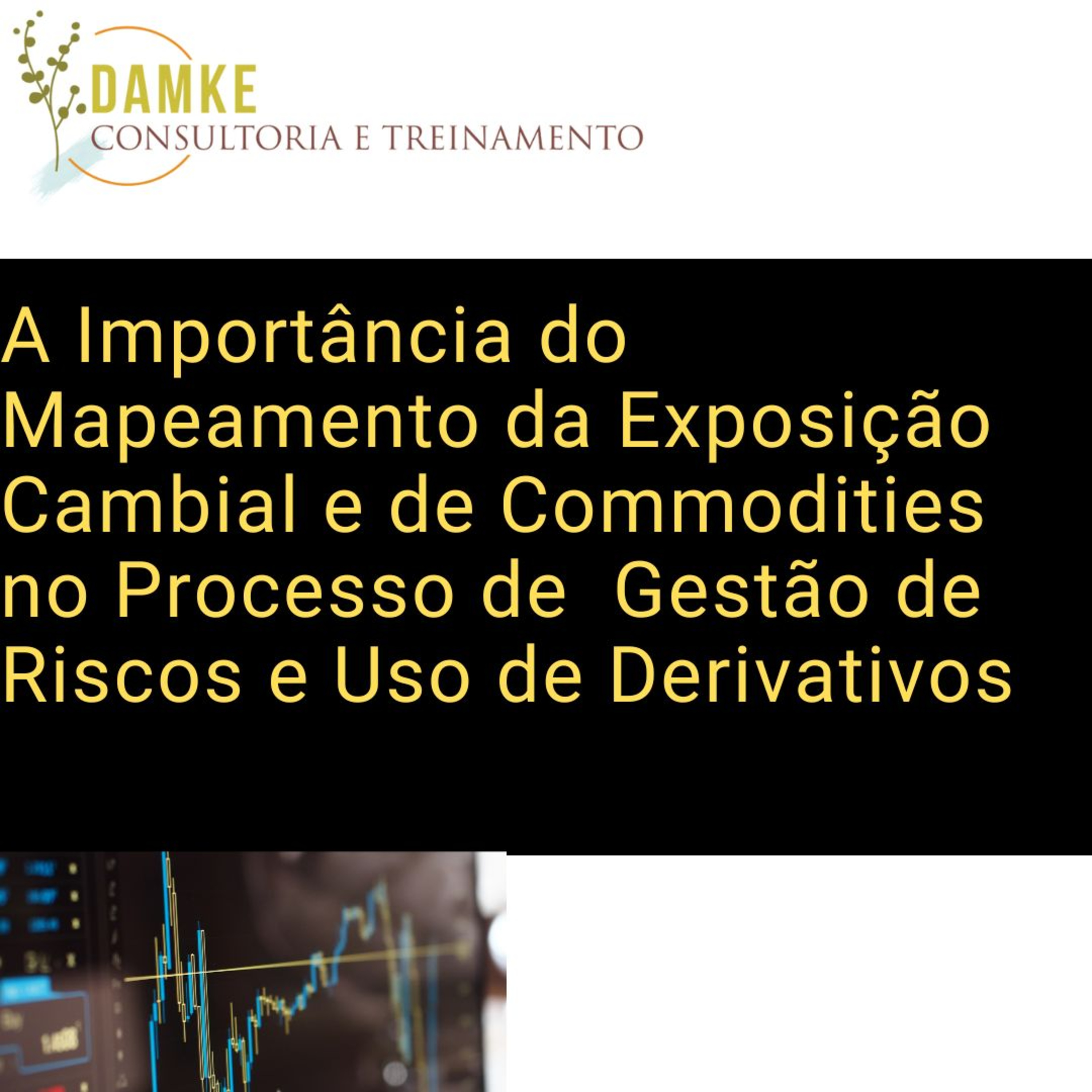 Damke Consultoria e Treinamento