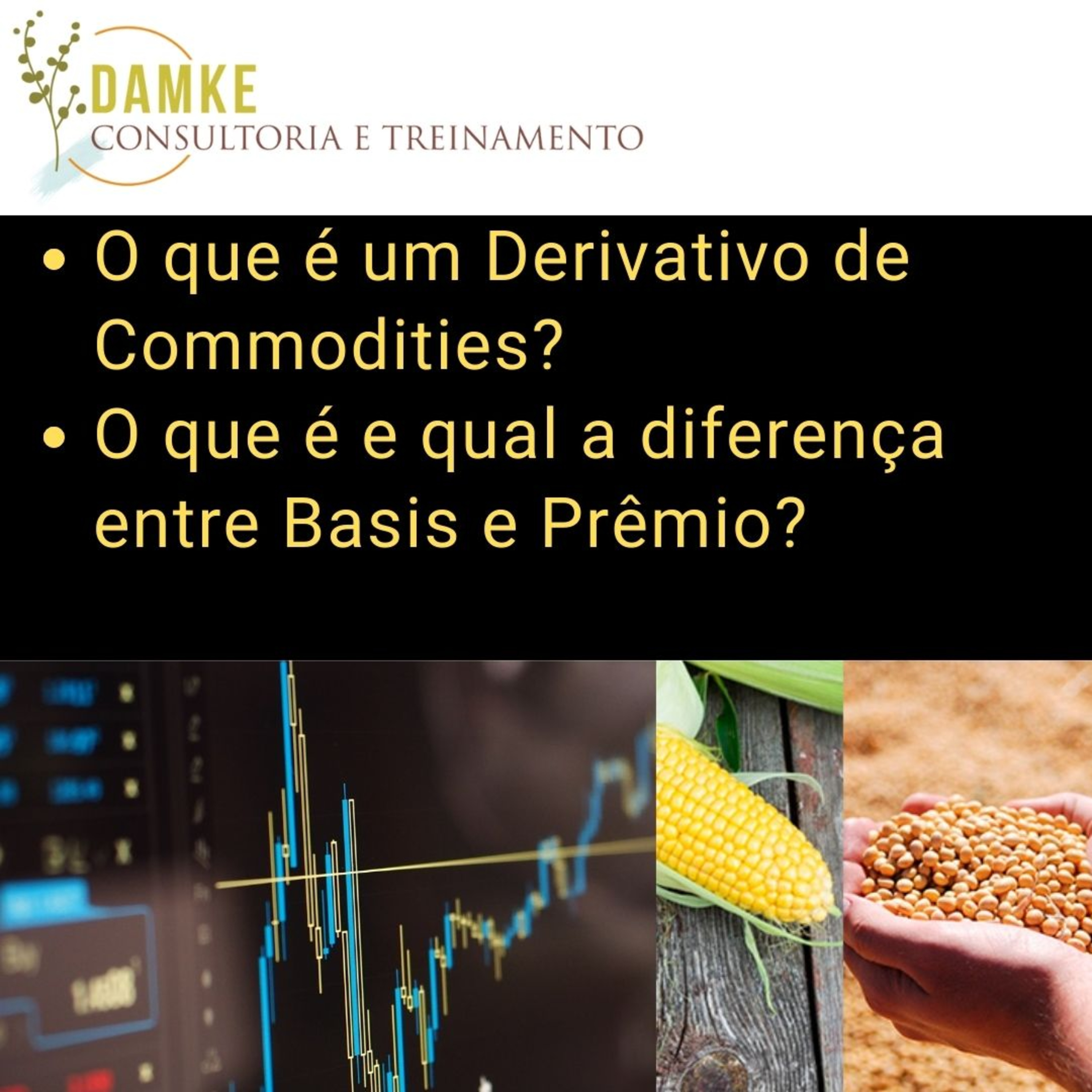 Damke Consultoria e Treinamento