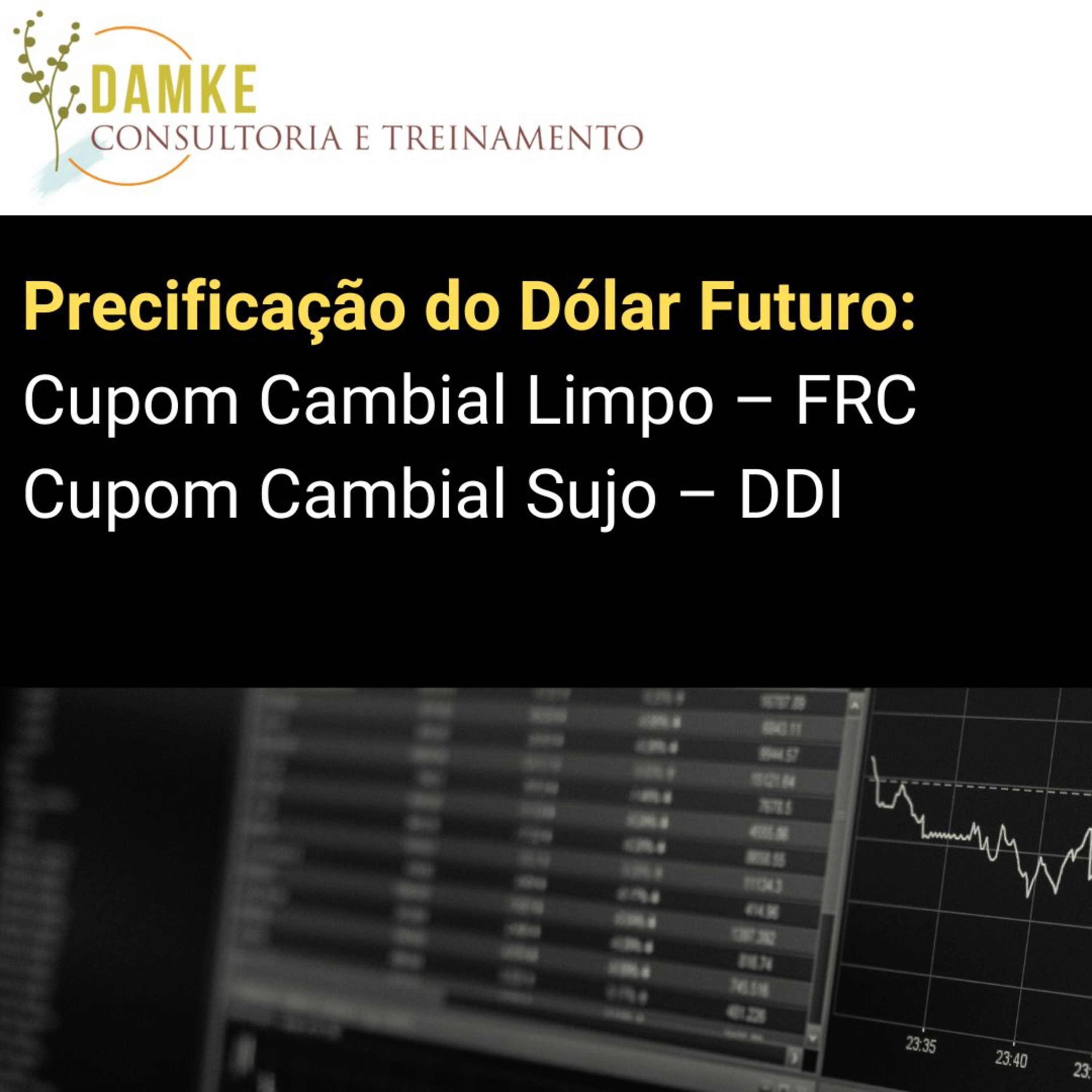 Damke Consultoria e Treinamento