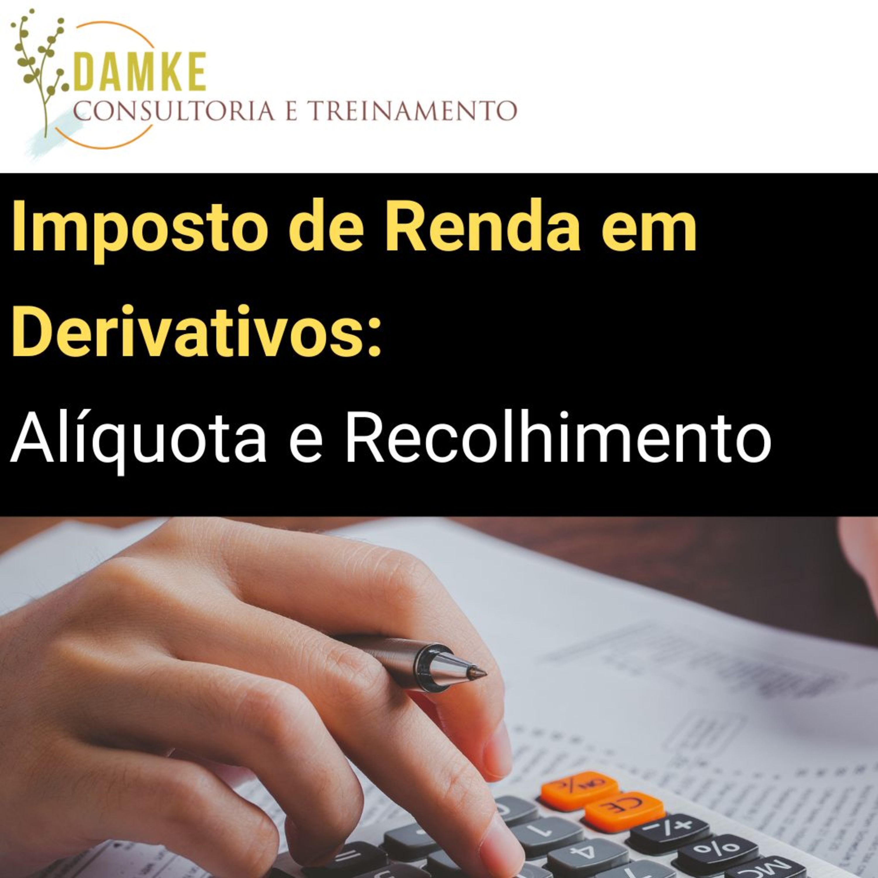Damke Consultoria e Treinamento